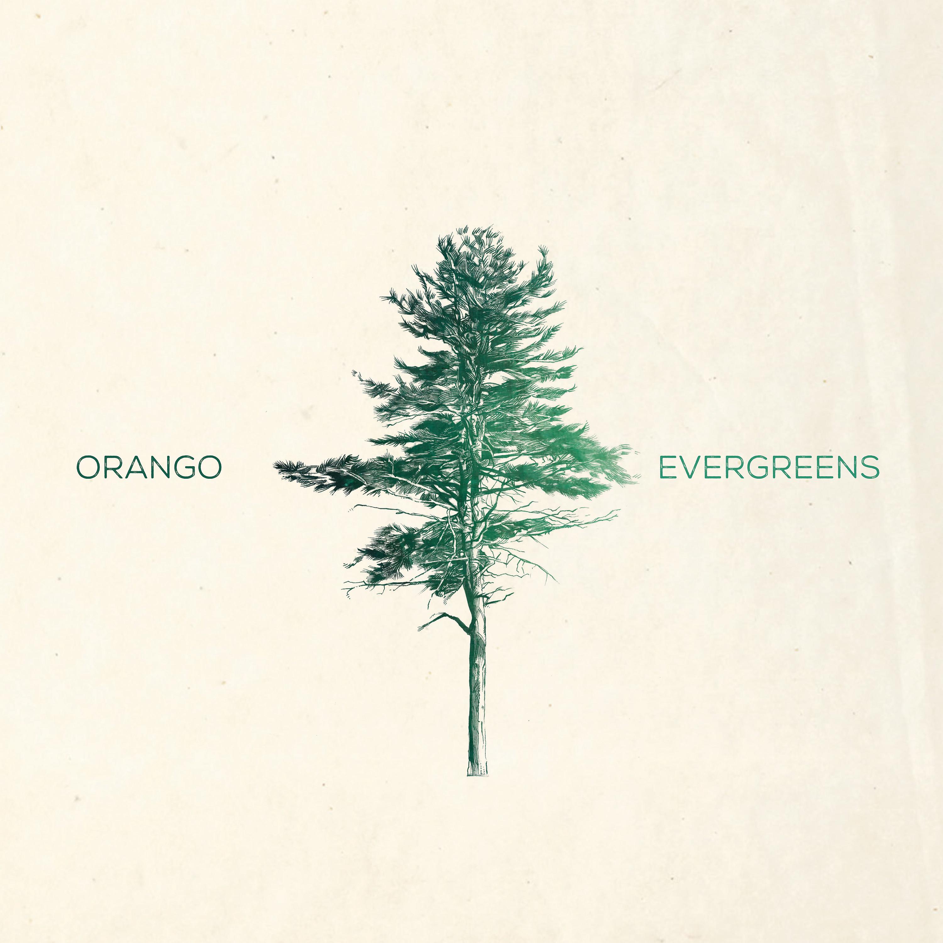 Постер альбома Evergreens