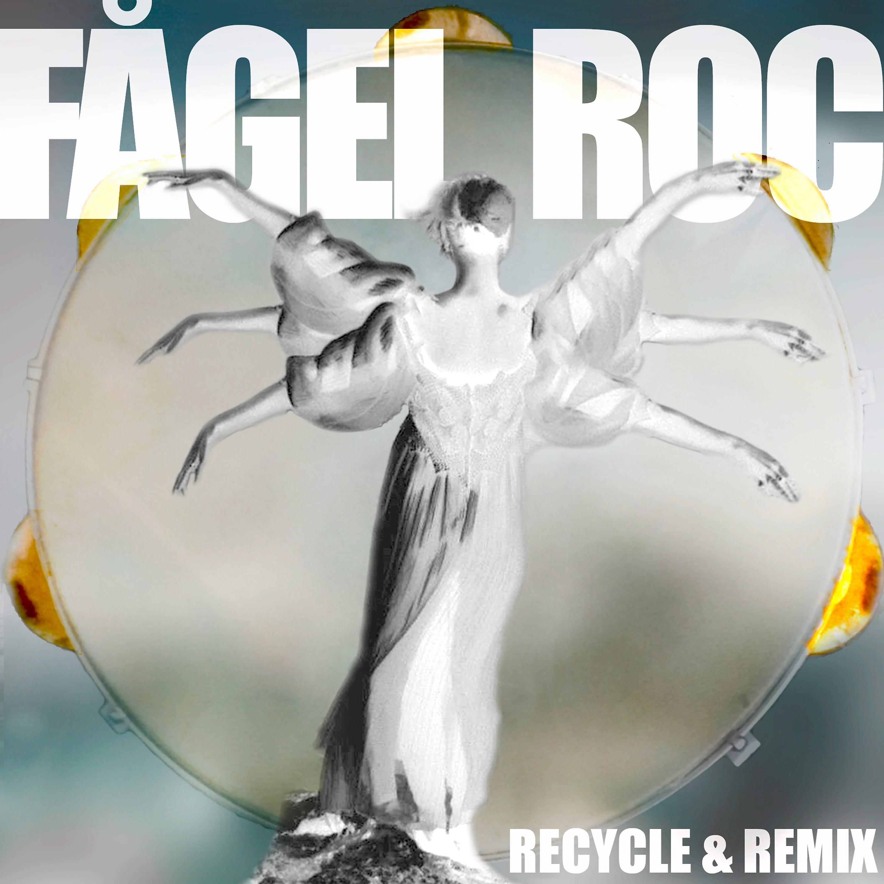Постер альбома Recycle and Remix