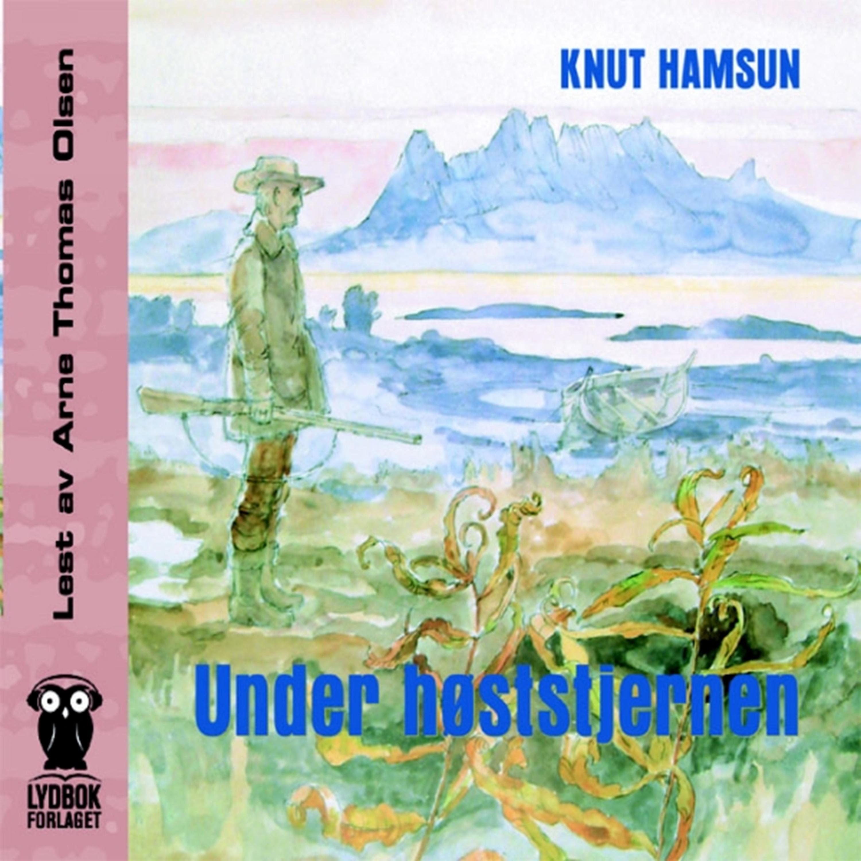 Постер альбома Under Høststjernen