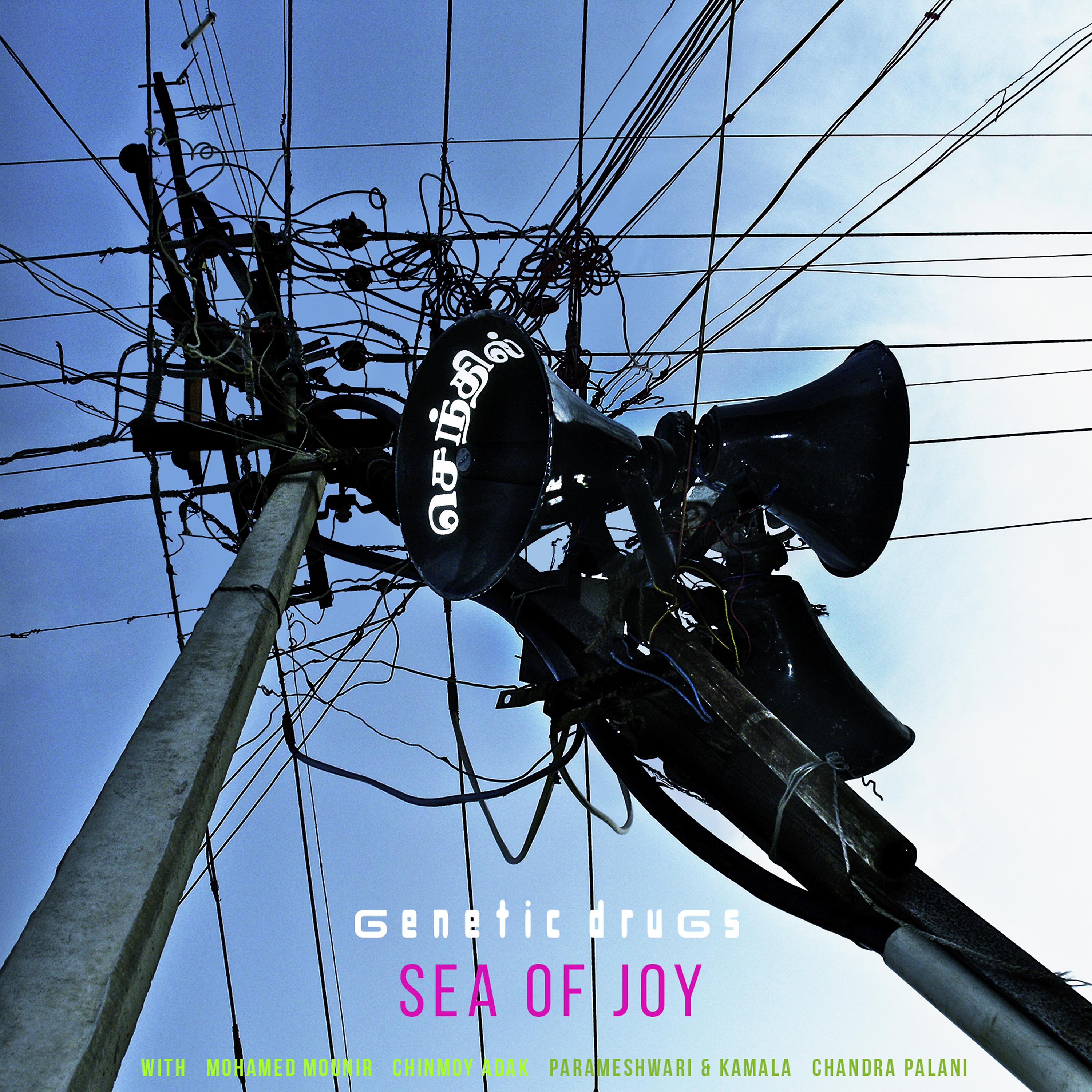 Постер альбома Sea of Joy