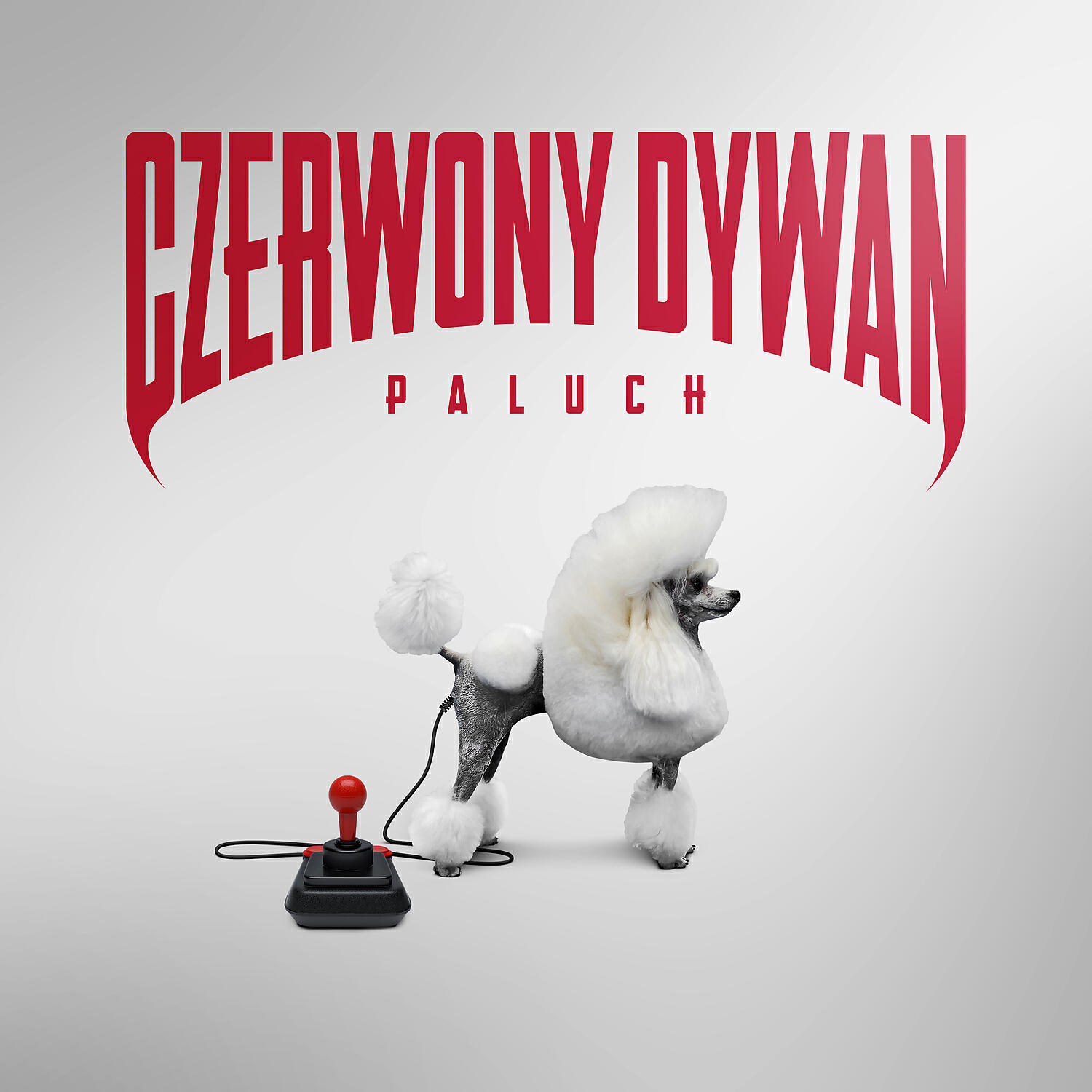 Paluch - Nie mysl o tym