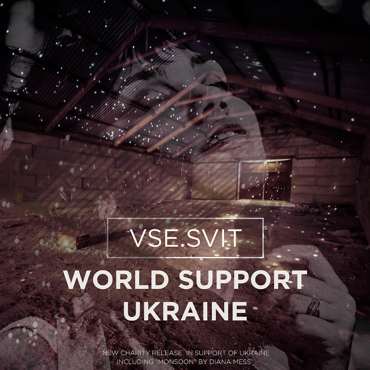 VSE.SVIT - World Support Ukraine