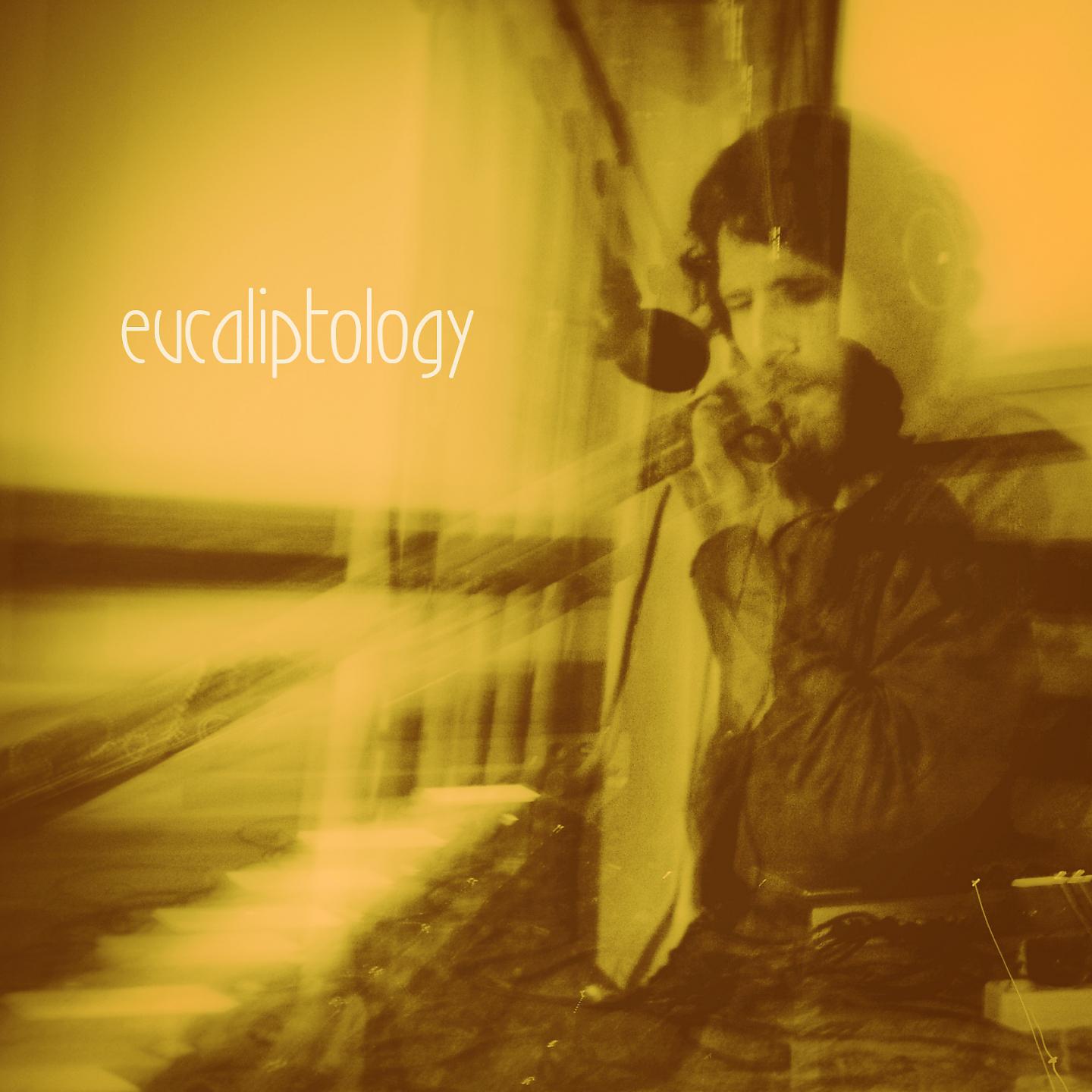 Постер альбома Eucaliptology