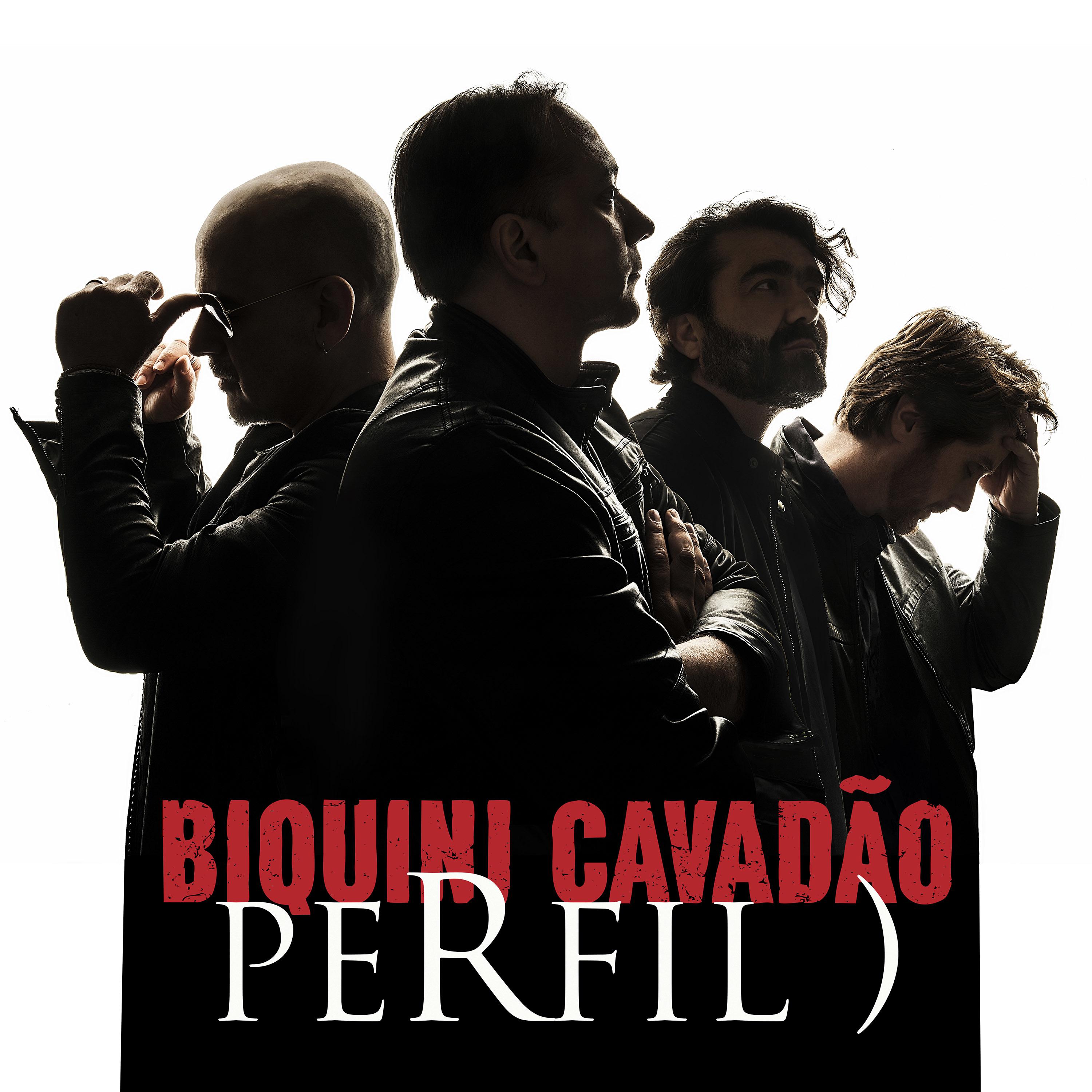 Постер альбома Perfil - Biquini Cavadão