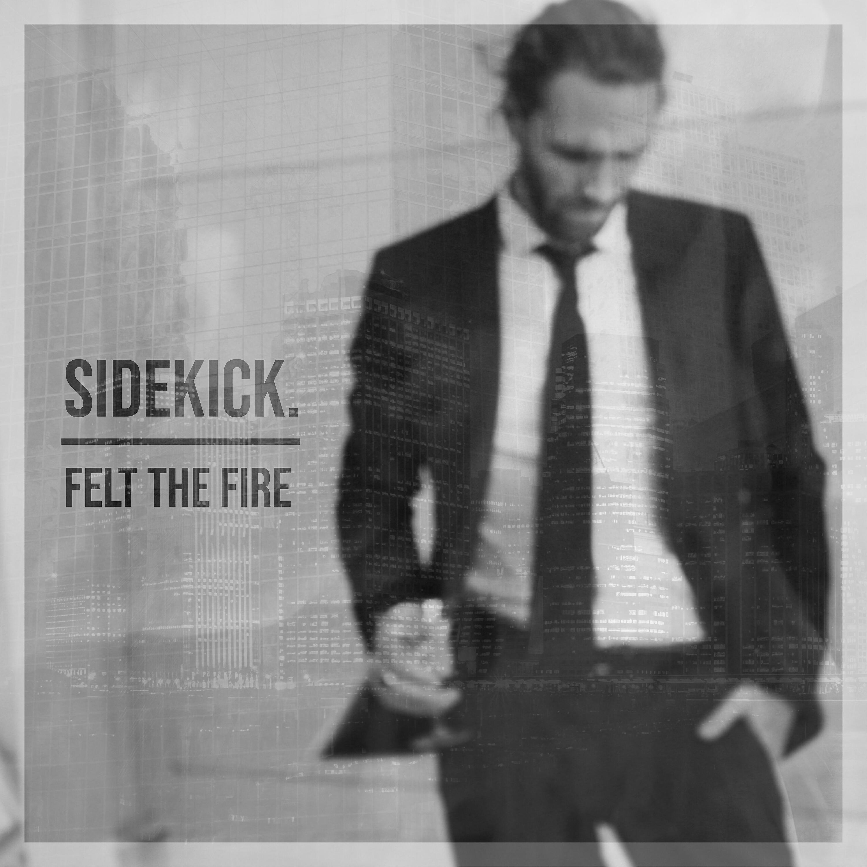 sidekick. - Felt the Fire