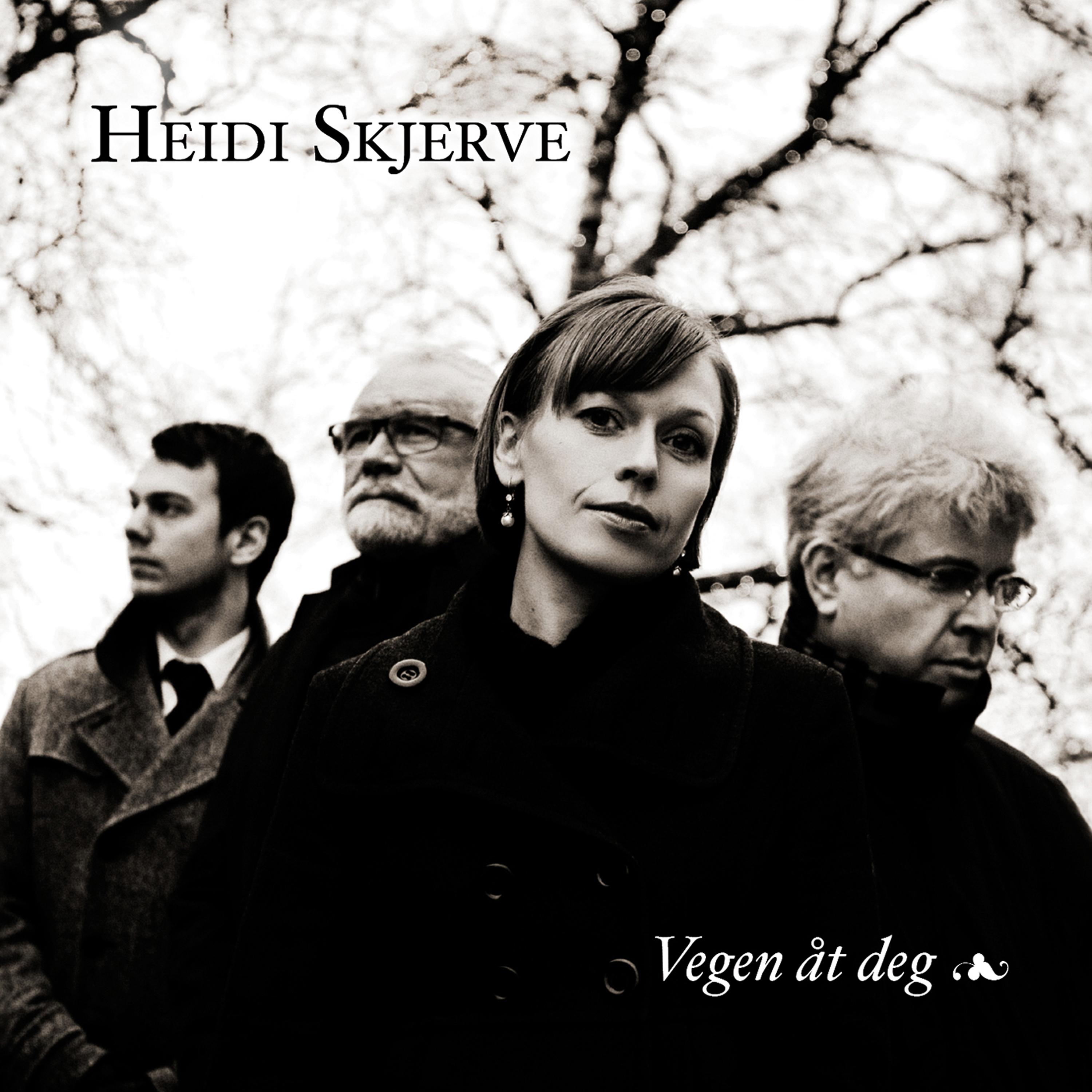 Постер альбома Vegen Åt Deg