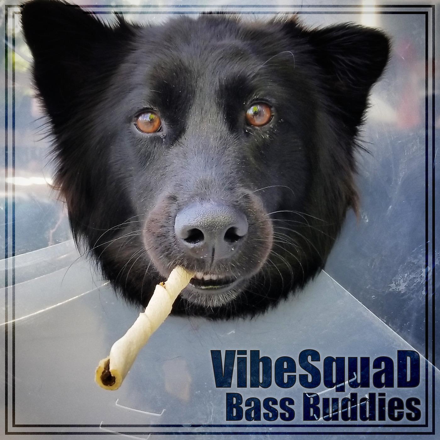 Постер альбома Bass Buddies