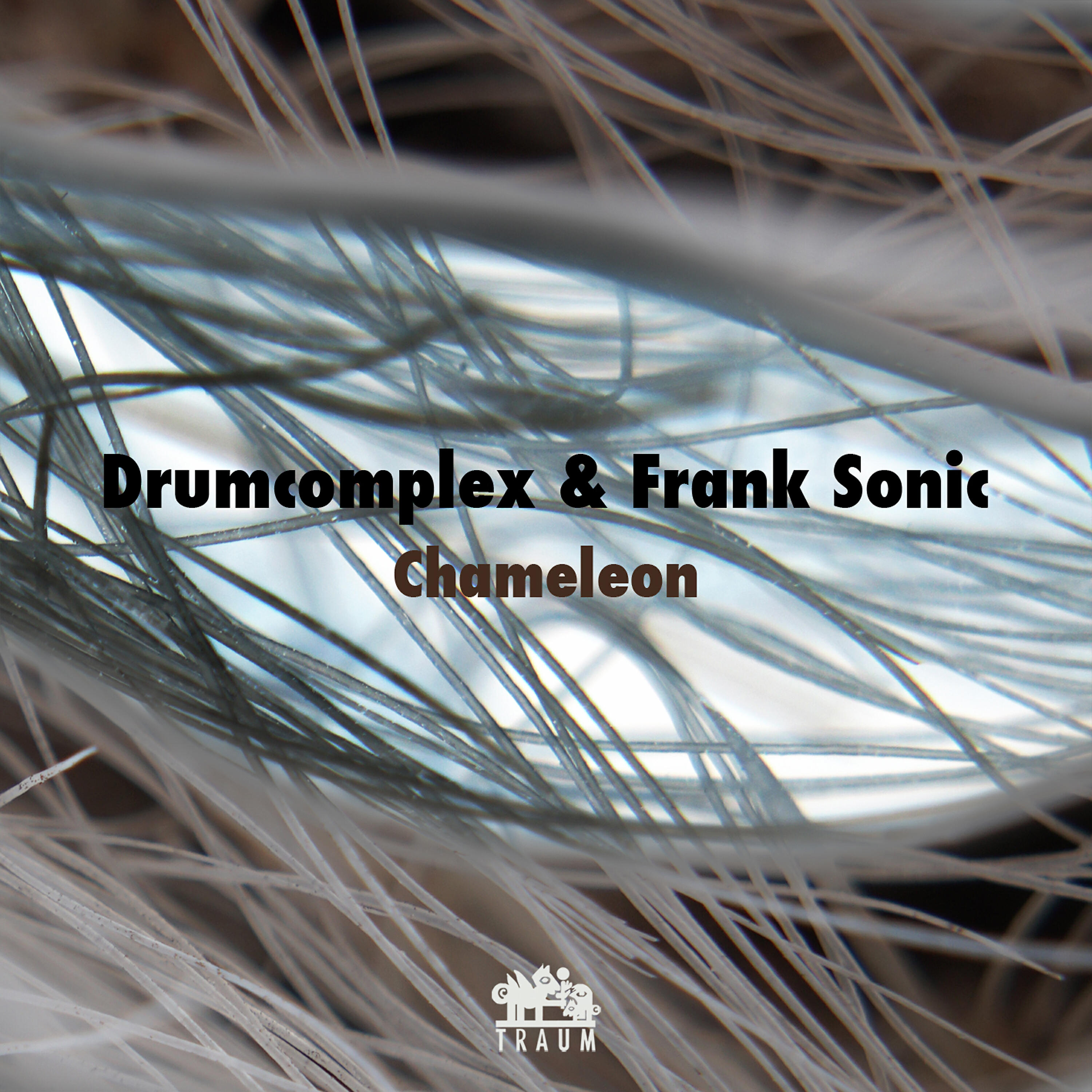 Drumcomplex - Chameleon