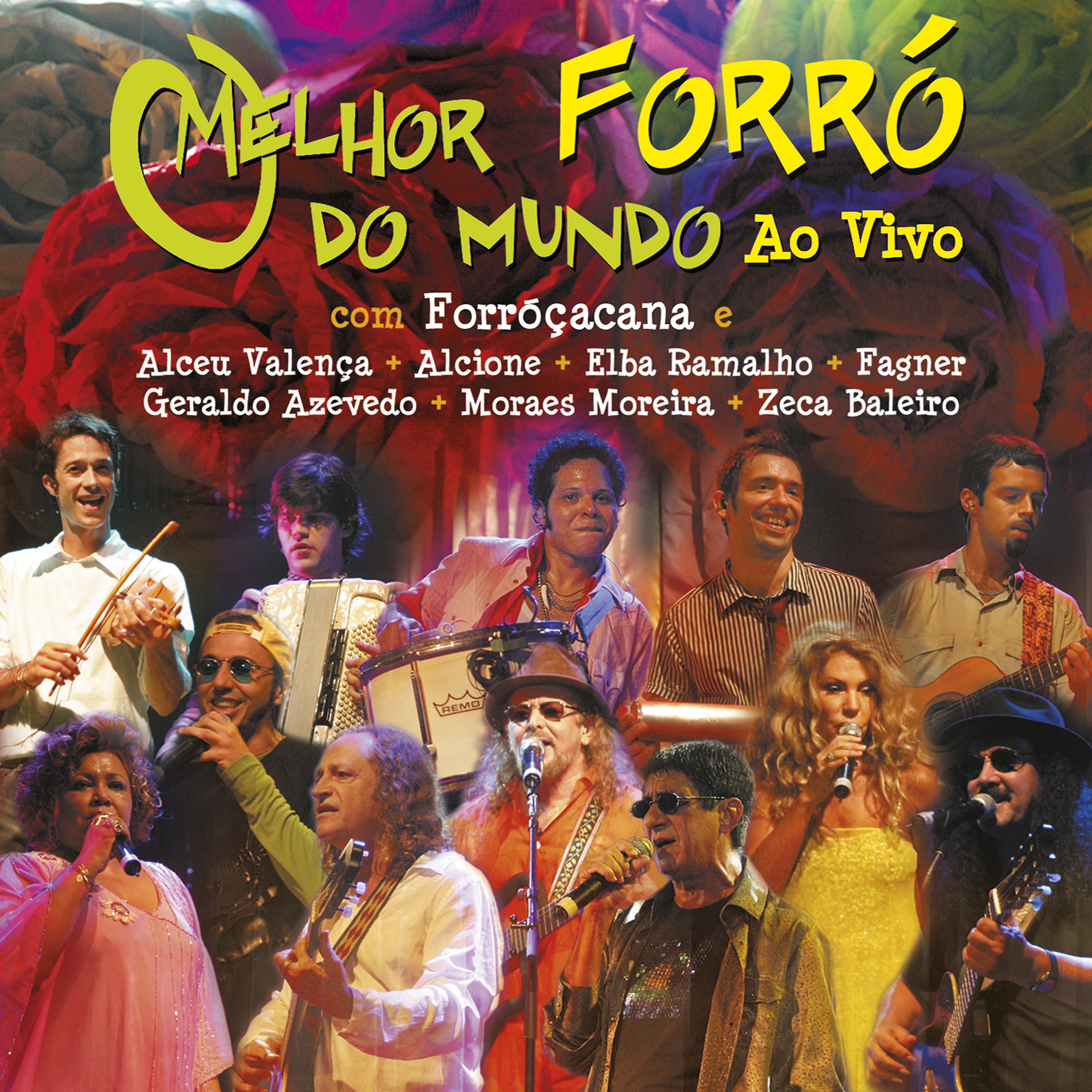 Постер альбома O melhor forró do mundo (Ao vivo)
