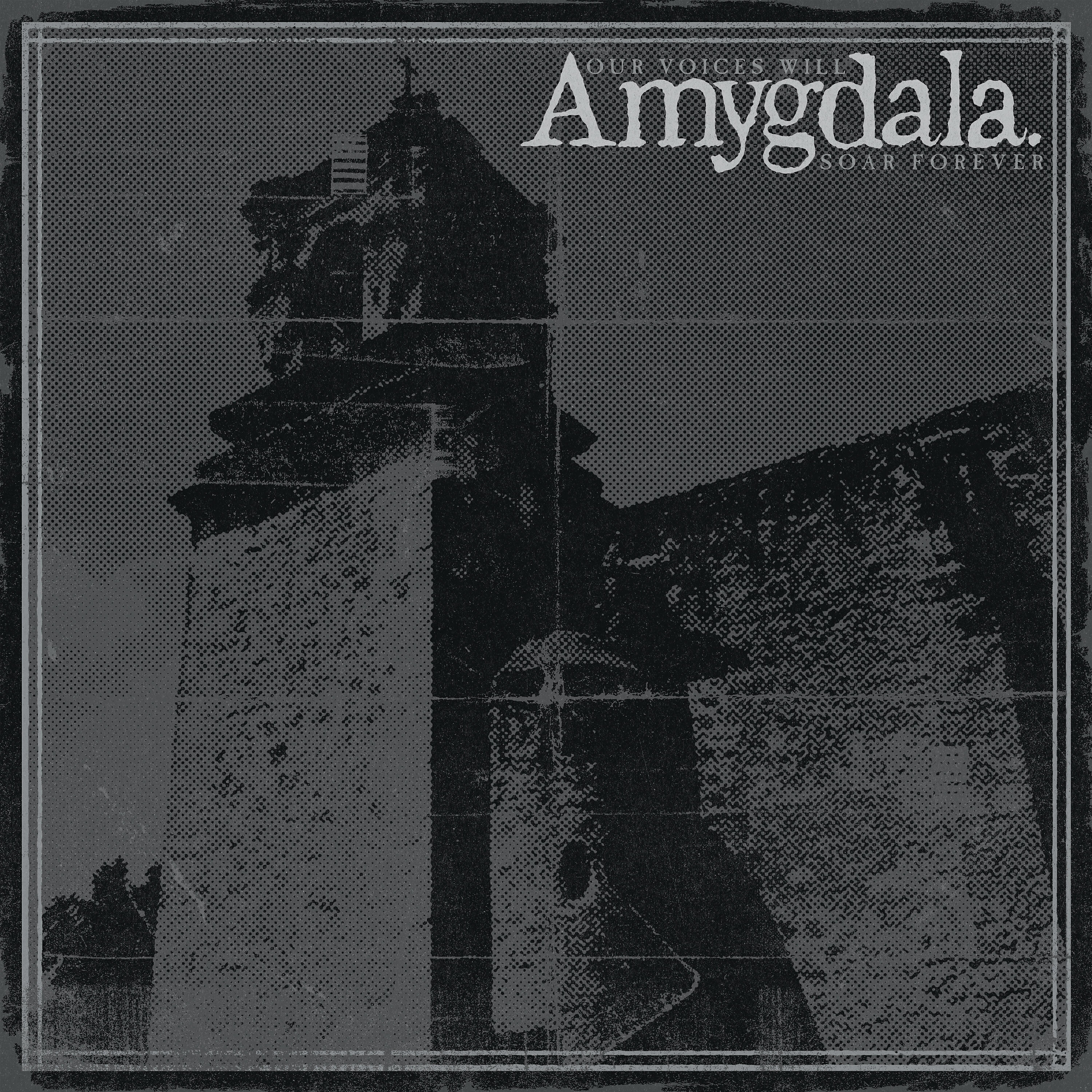 Amygdala - We Exist//Yo Existo