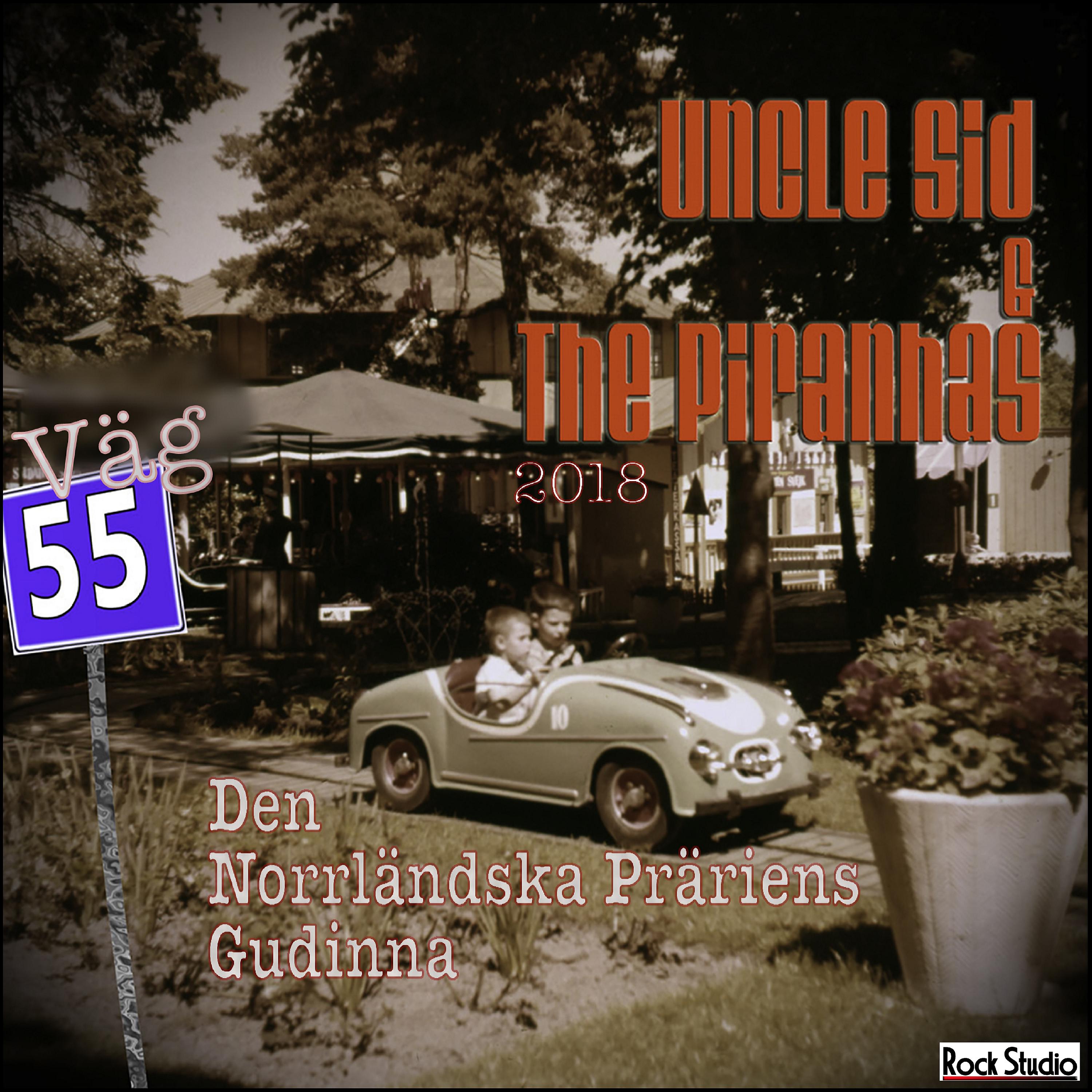 Постер альбома Väg 55/ Den Norrländska Präriens Gudinna