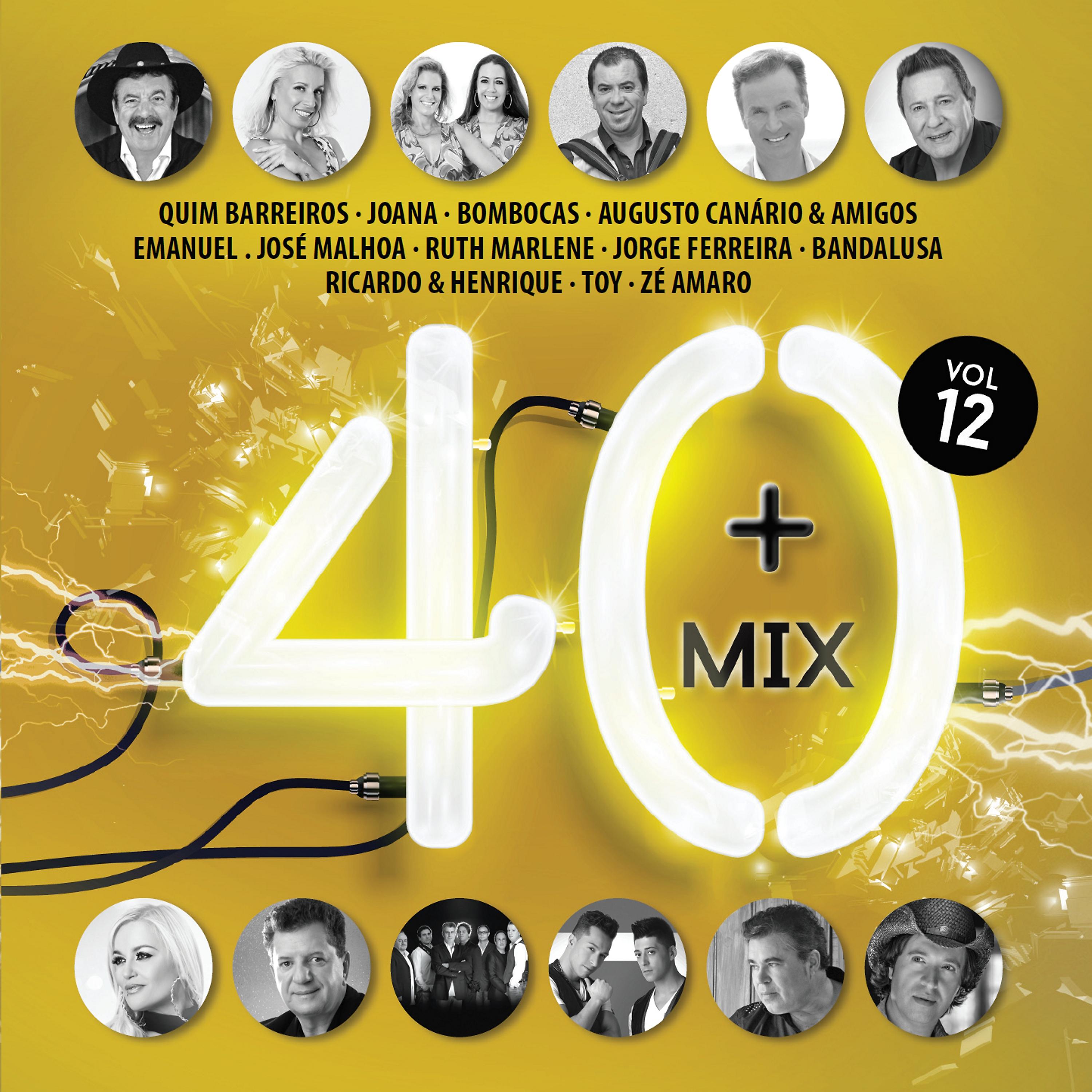 Постер альбома 40+ Mix Vol. 12
