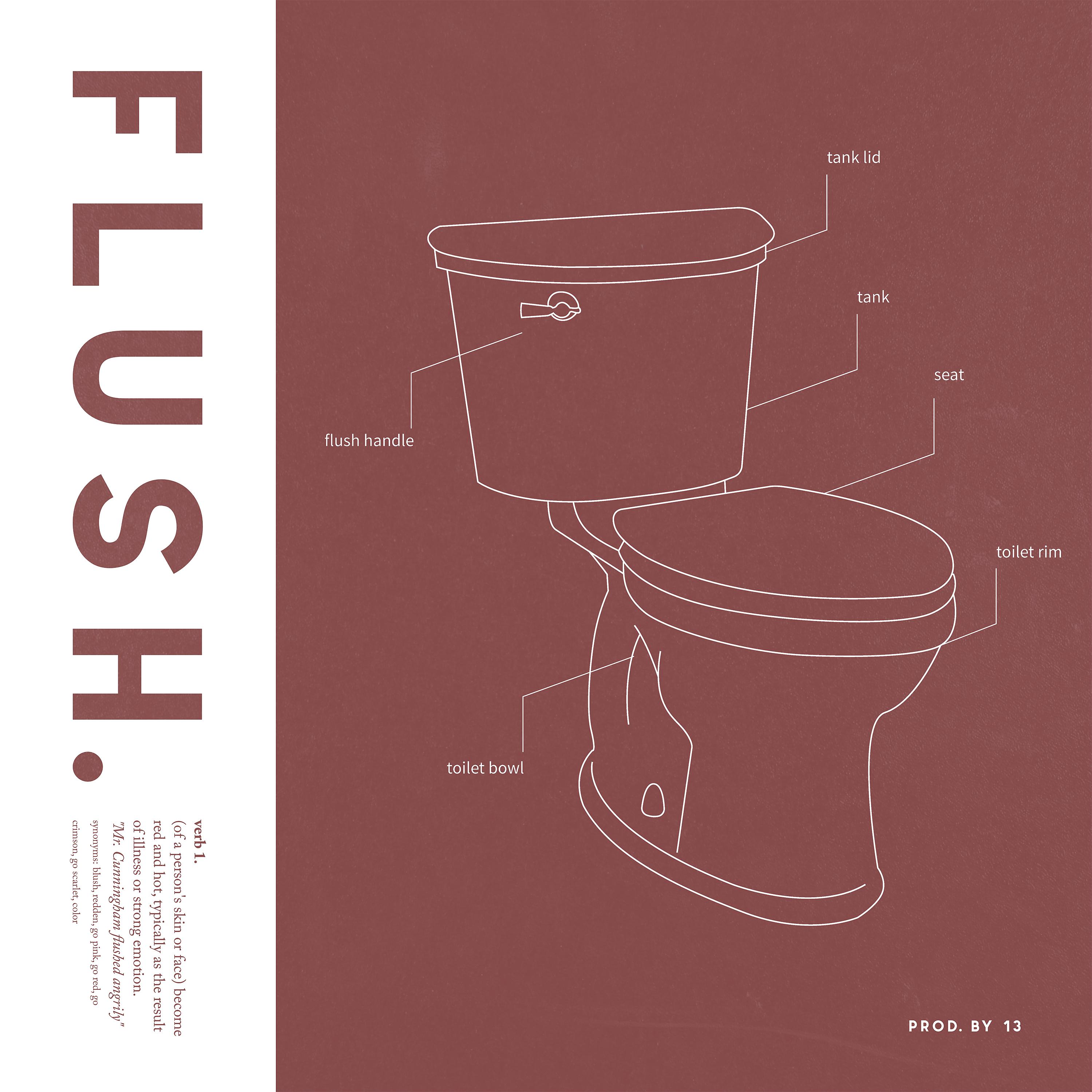 Постер альбома FLUSH