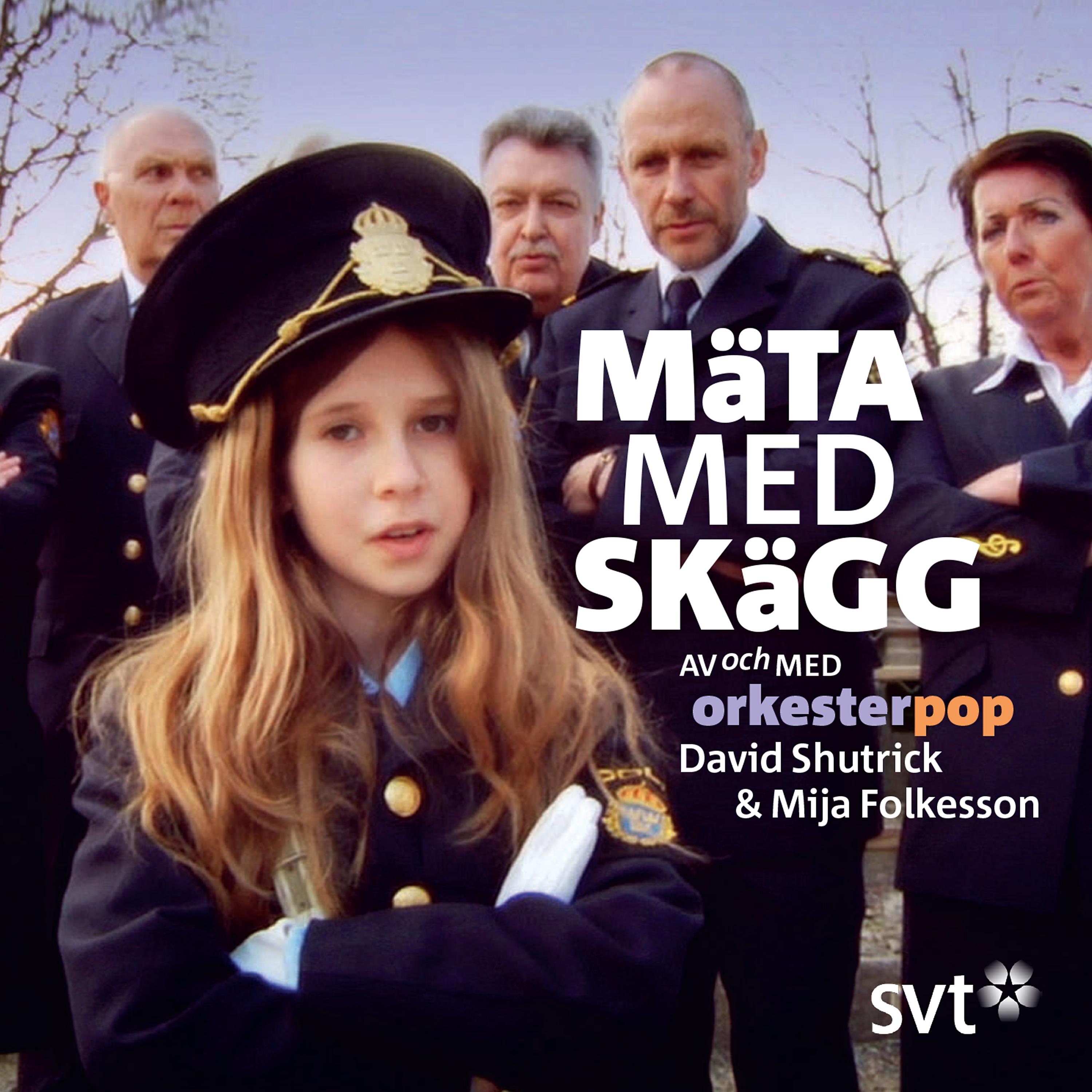 Постер альбома Mäta med skägg
