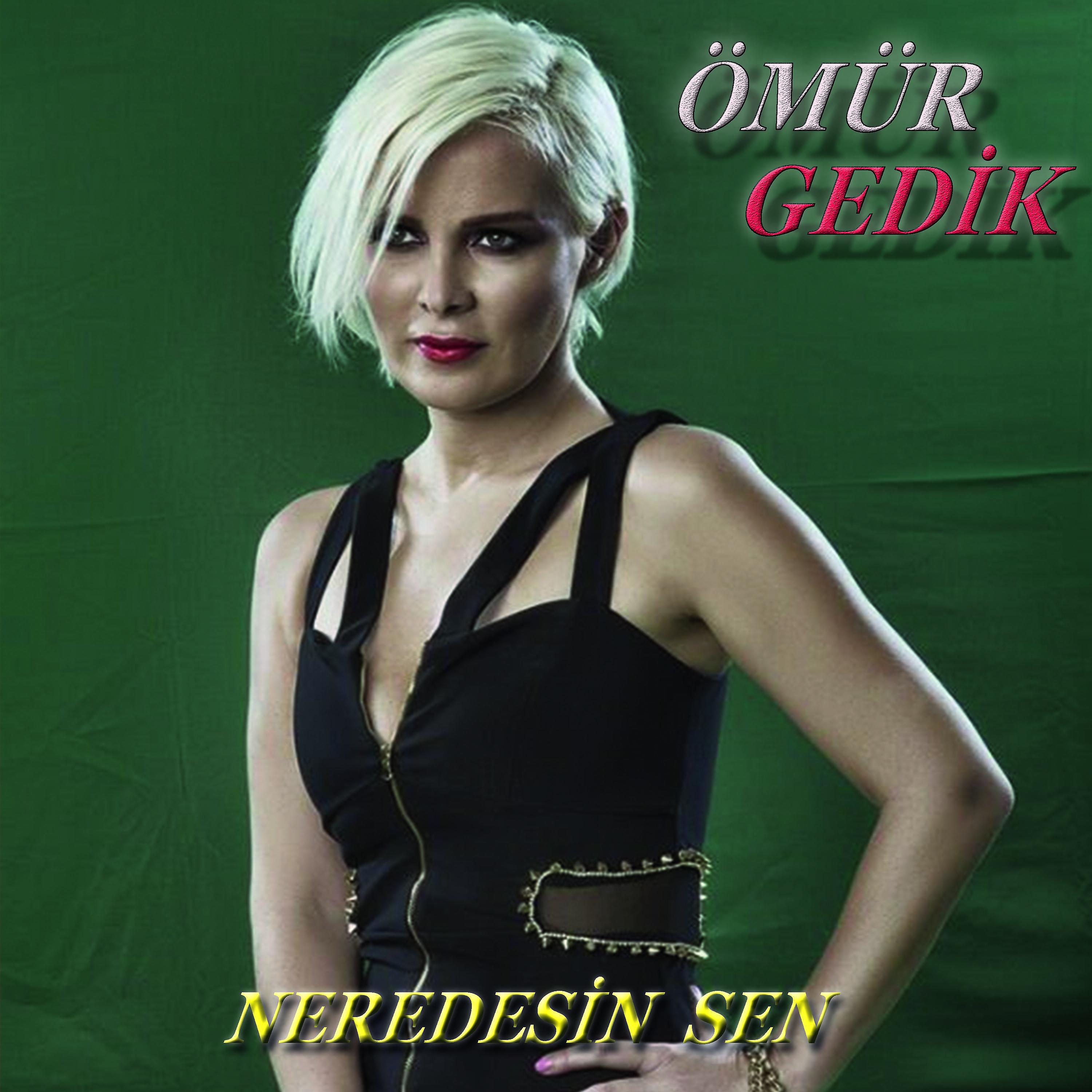 Постер альбома Neredesin Sen