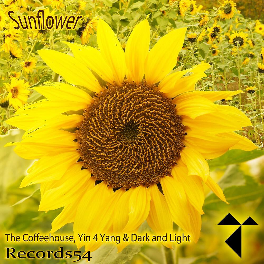 The Coffeehouse - Sunflower (Radio)