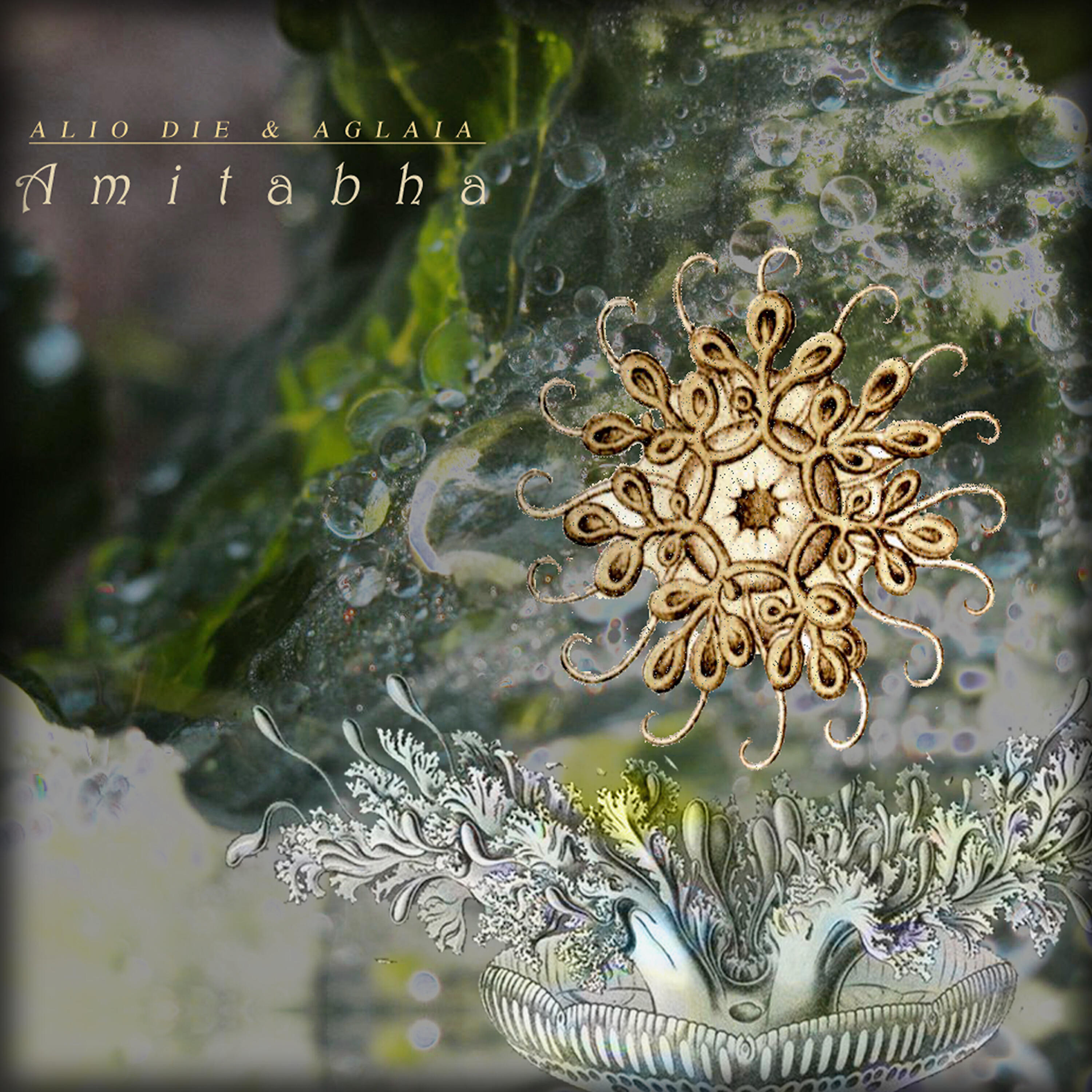 Alio Die - Amitabha