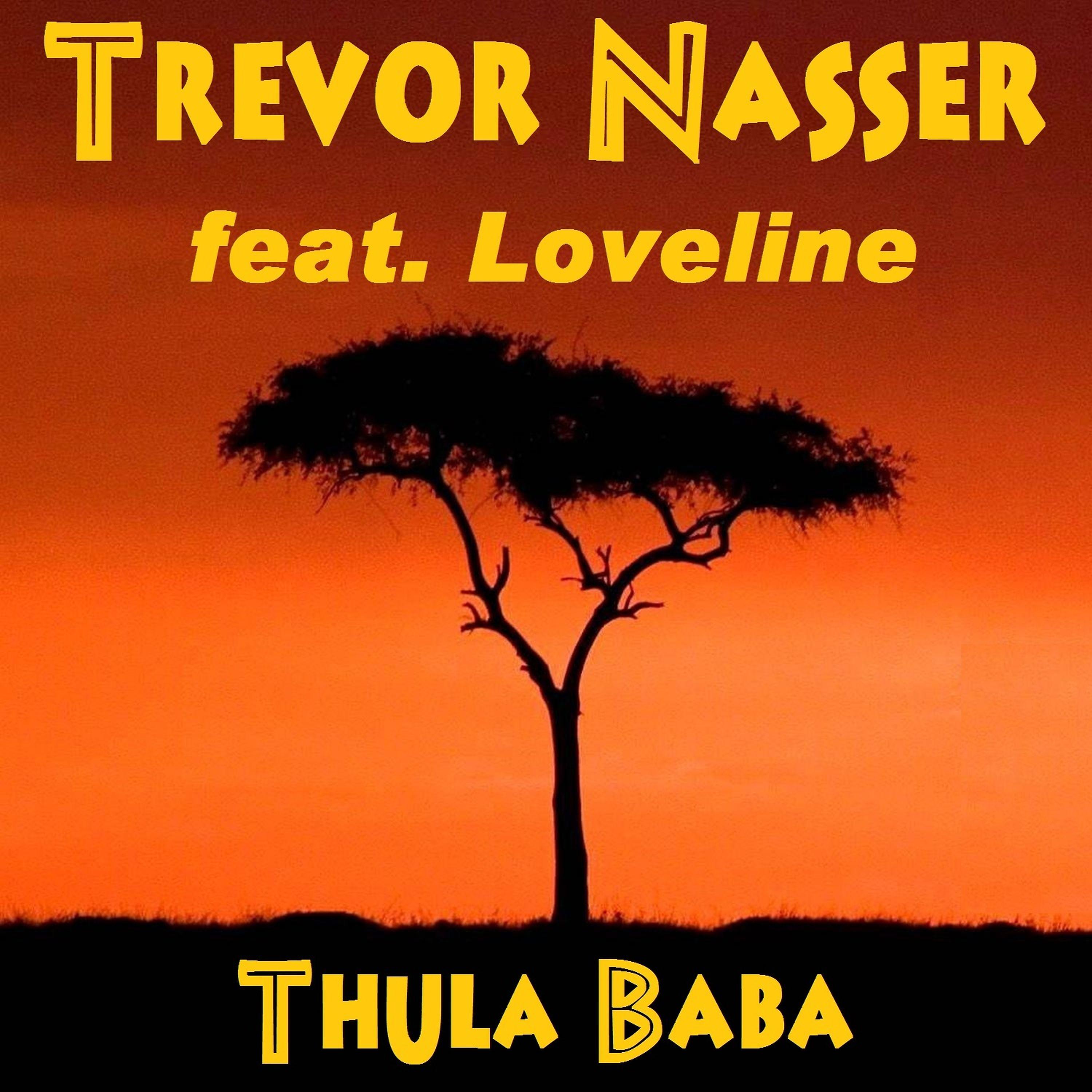 Постер альбома Thula Baba