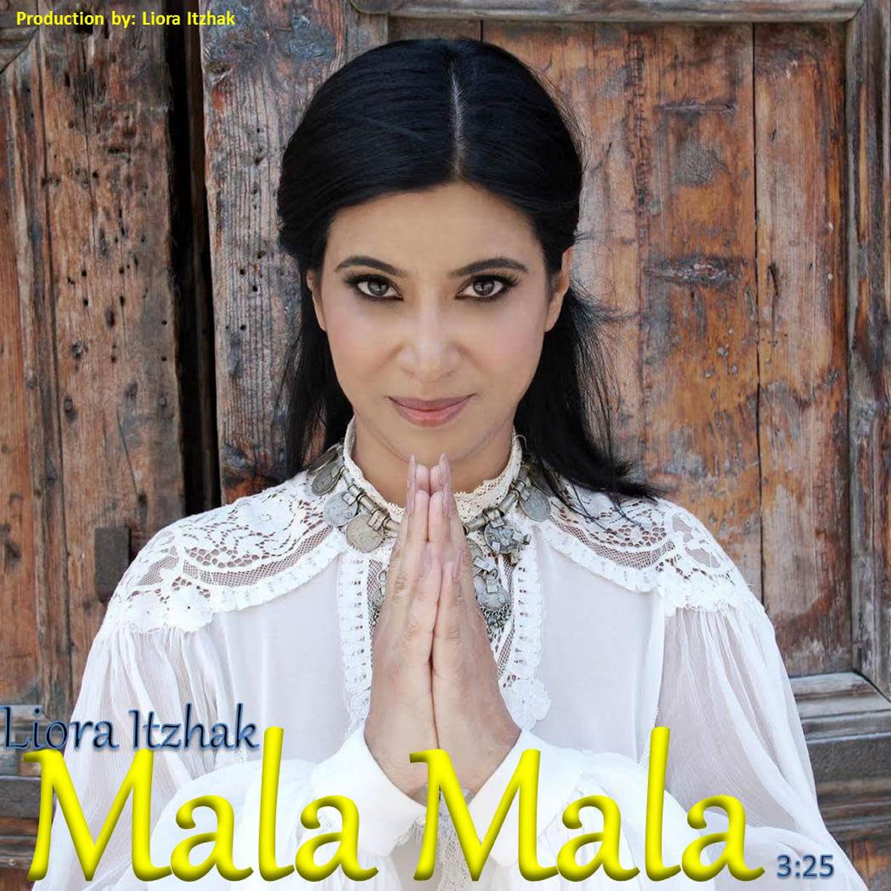 Постер альбома Mala Mala Hindi