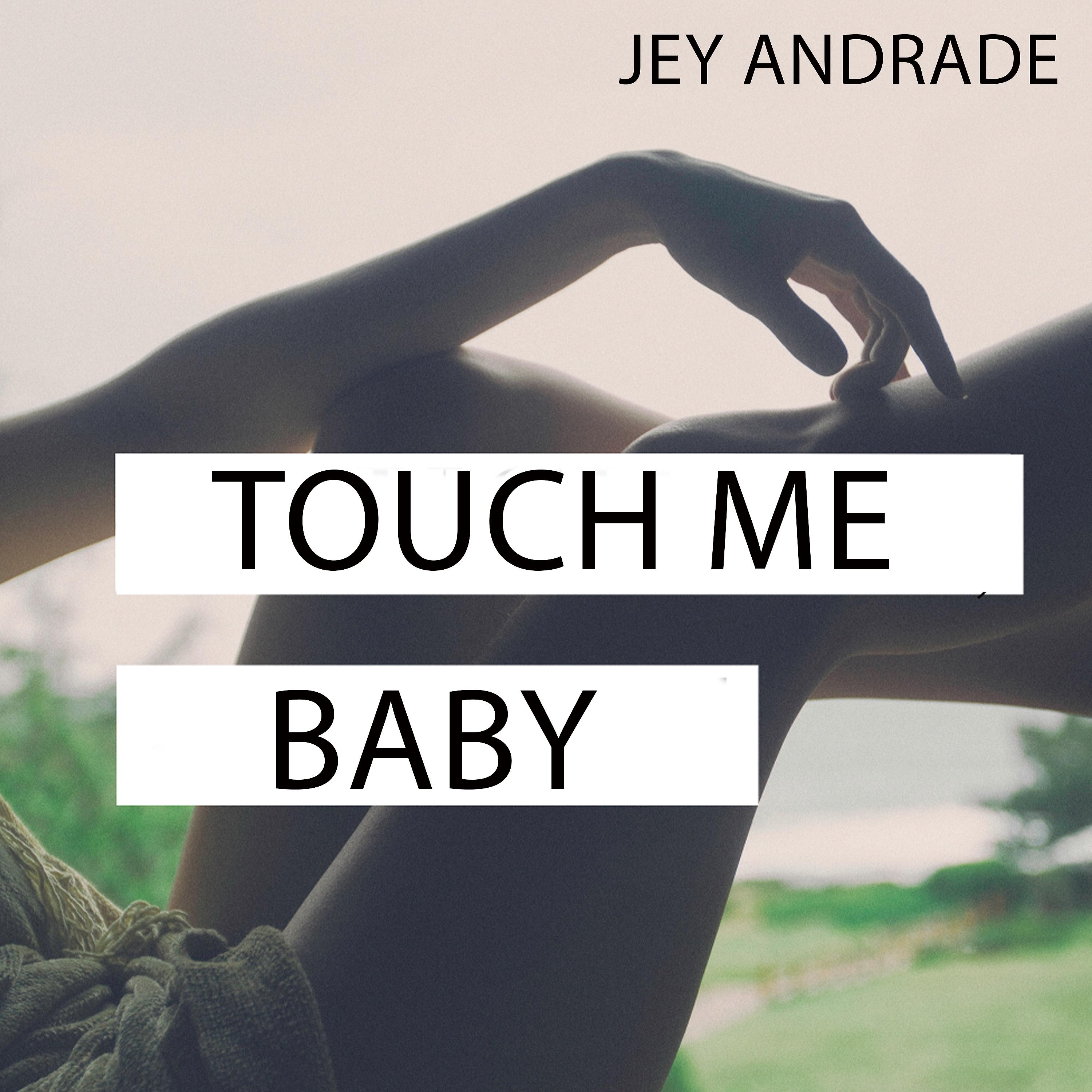 Постер альбома Touch Me Baby