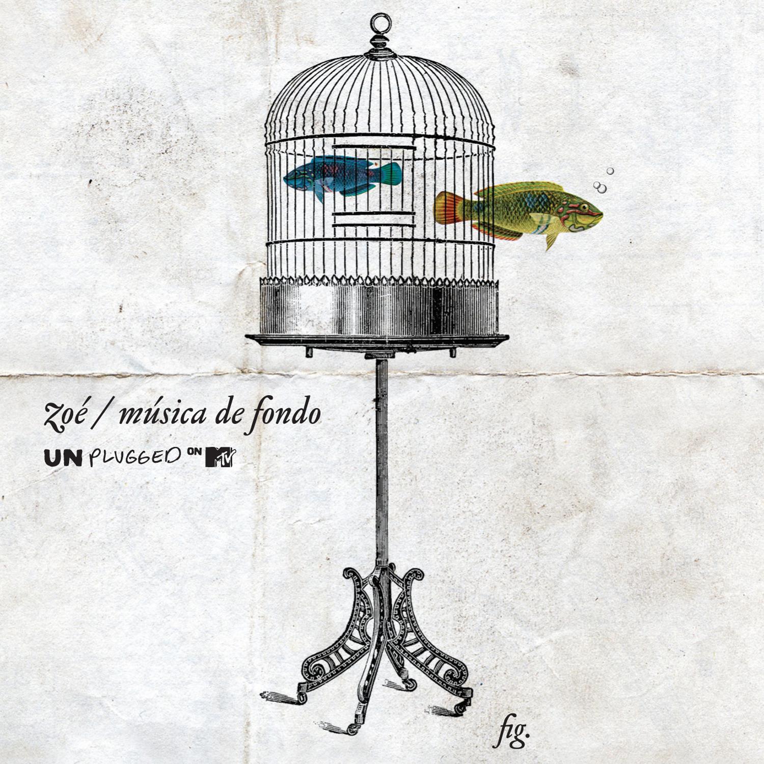 Постер альбома MTV Unplugged Música De Fondo (Standard Version)