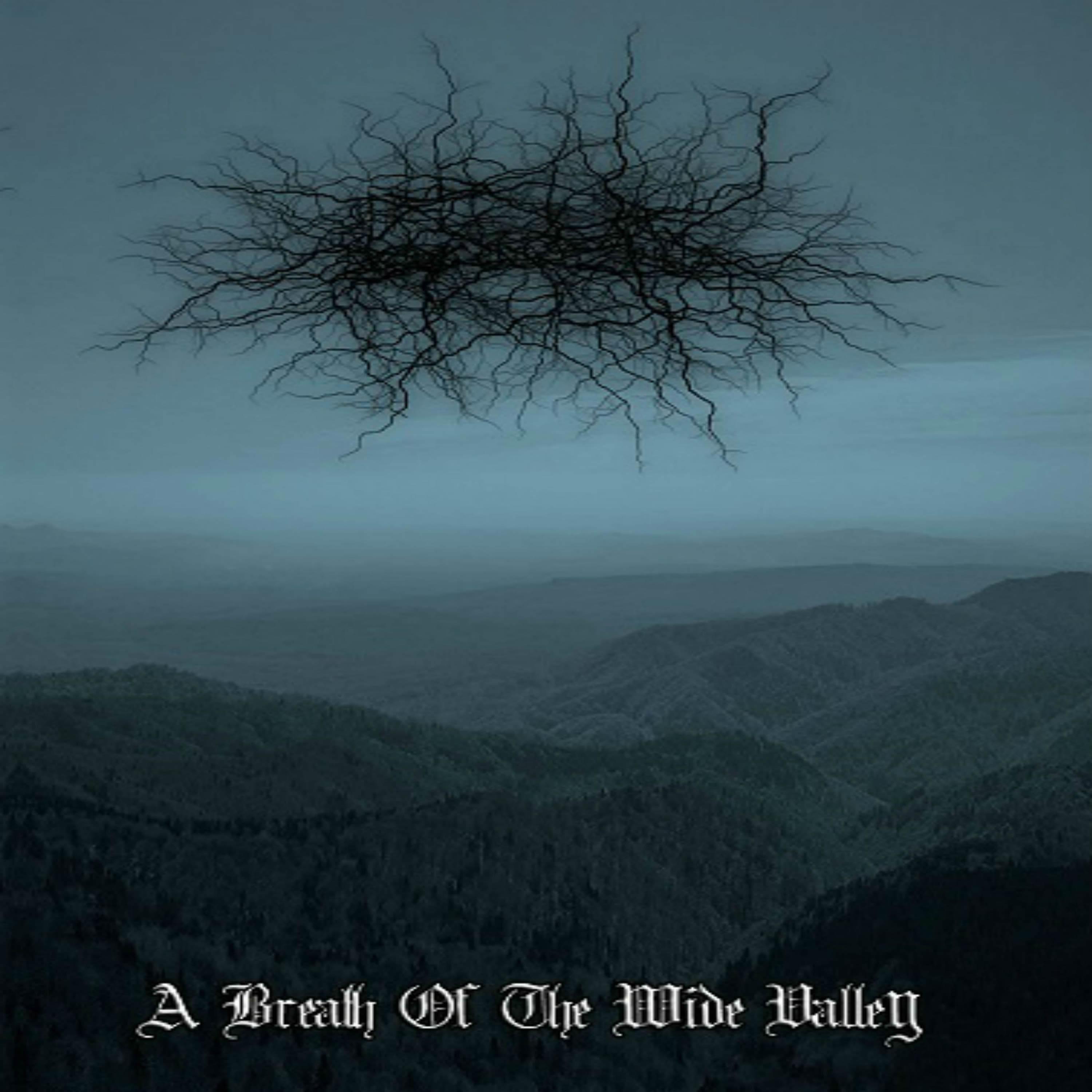 Постер альбома A Breath in the Wide Valley