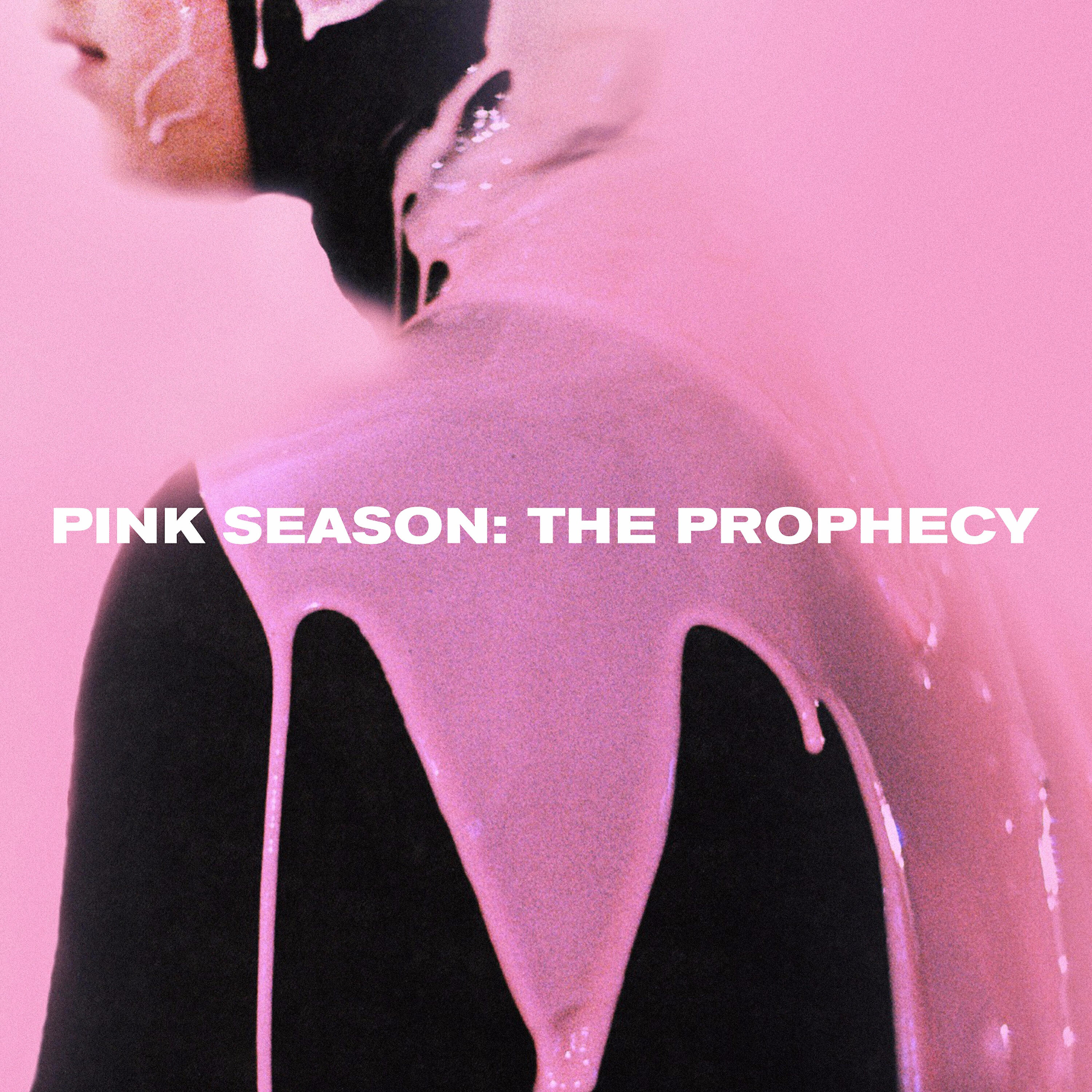Pink Guy - Pink Season: The Prophecy