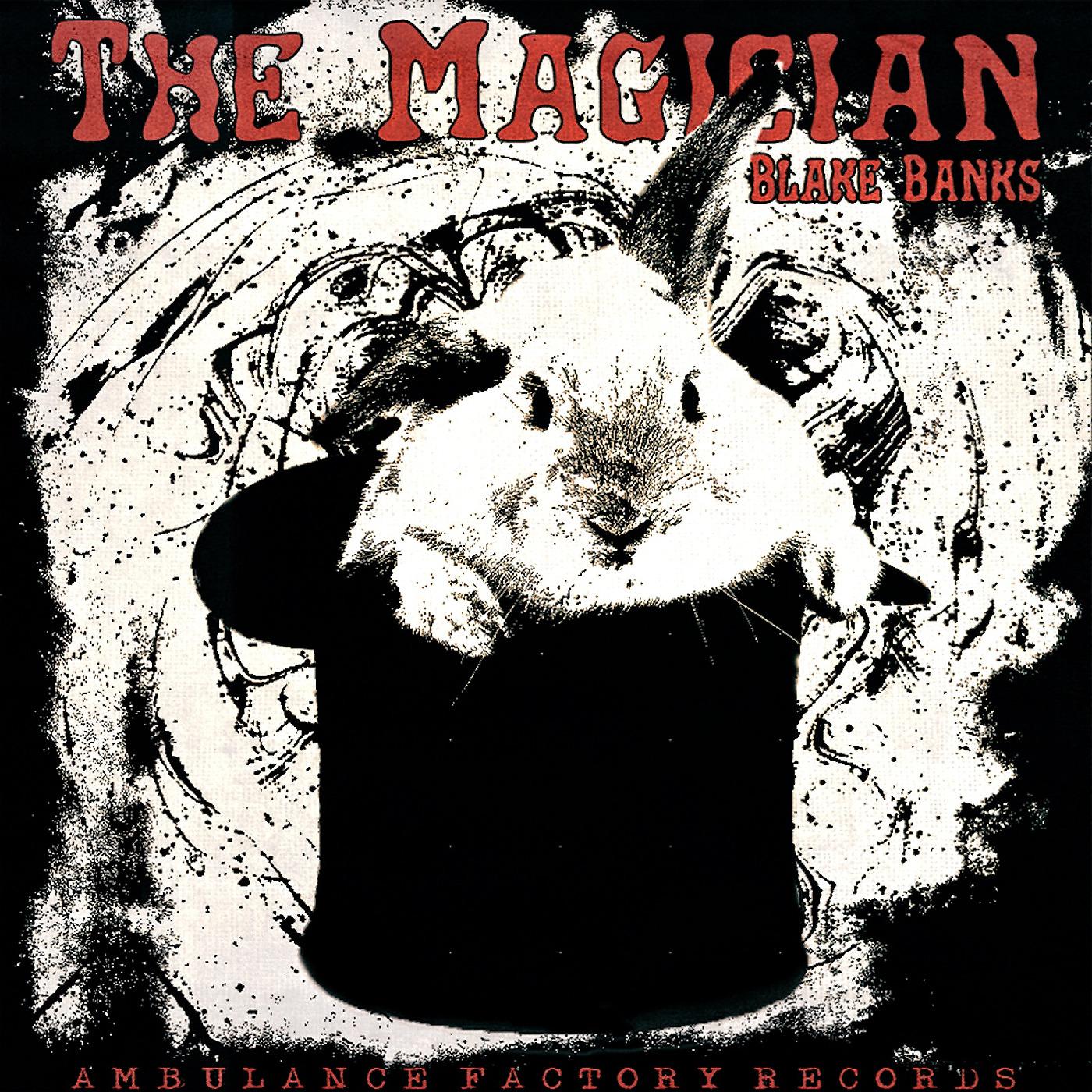 Постер альбома The Magician