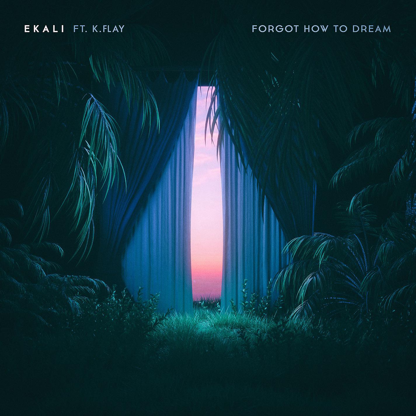 Постер альбома Forgot How To Dream (feat. K.Flay)
