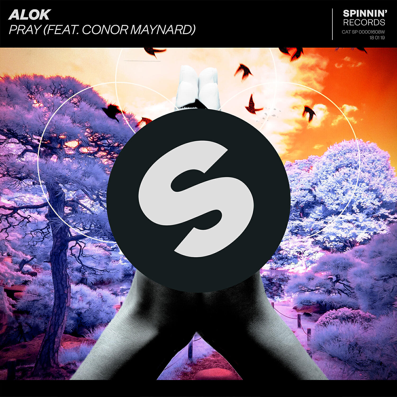 ALOK - Pray (feat. Conor Maynard)