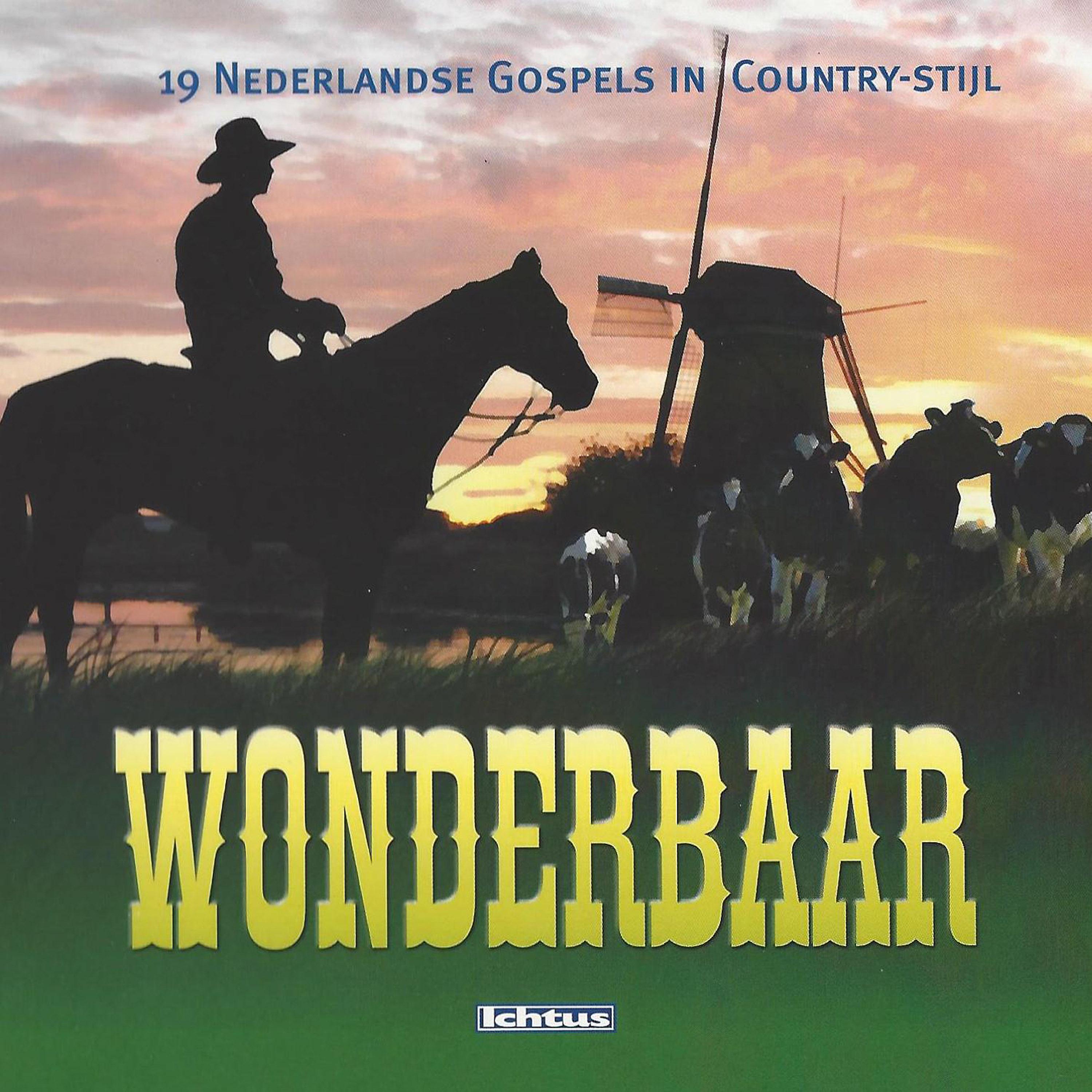 Постер альбома Wonderbaar: Nederlandse Gospels in Country stijl