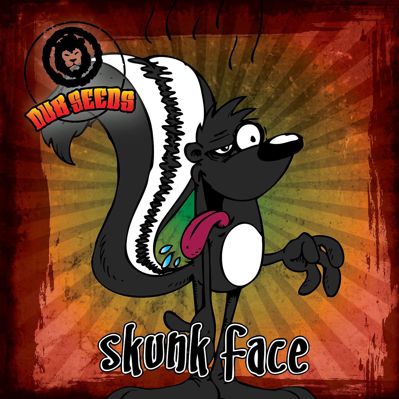 Постер альбома Skunk Face