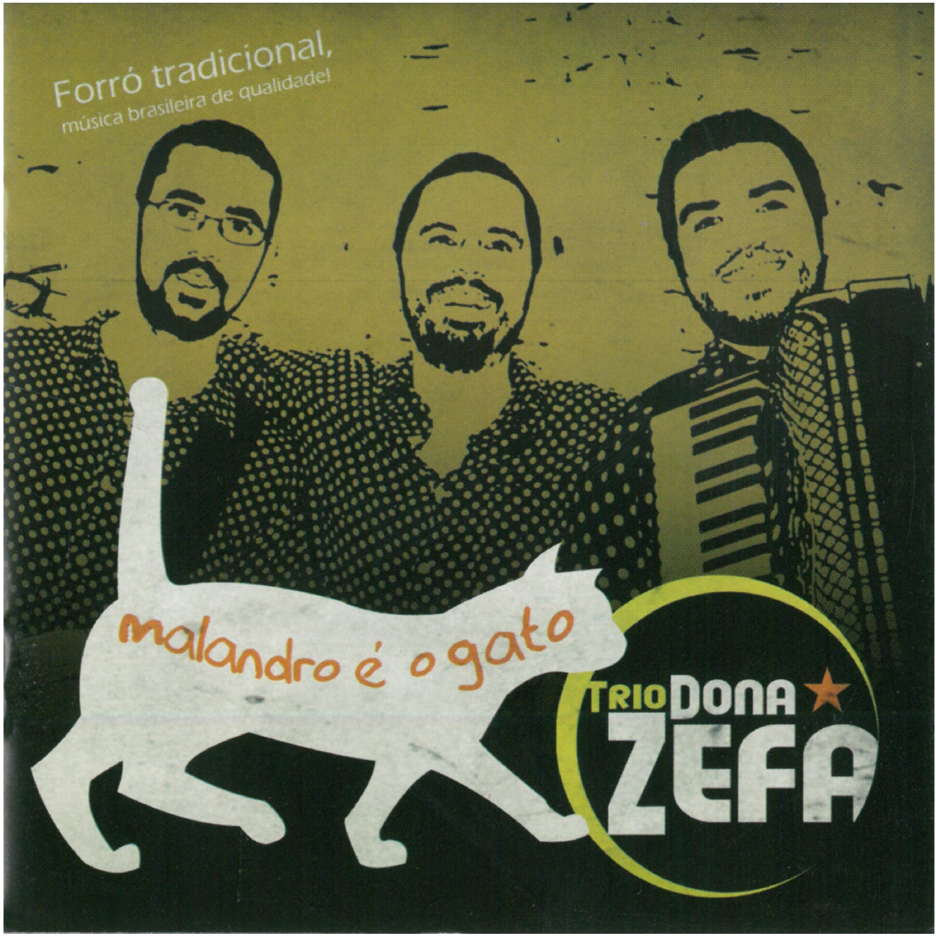 Постер альбома Malandro É o Gato