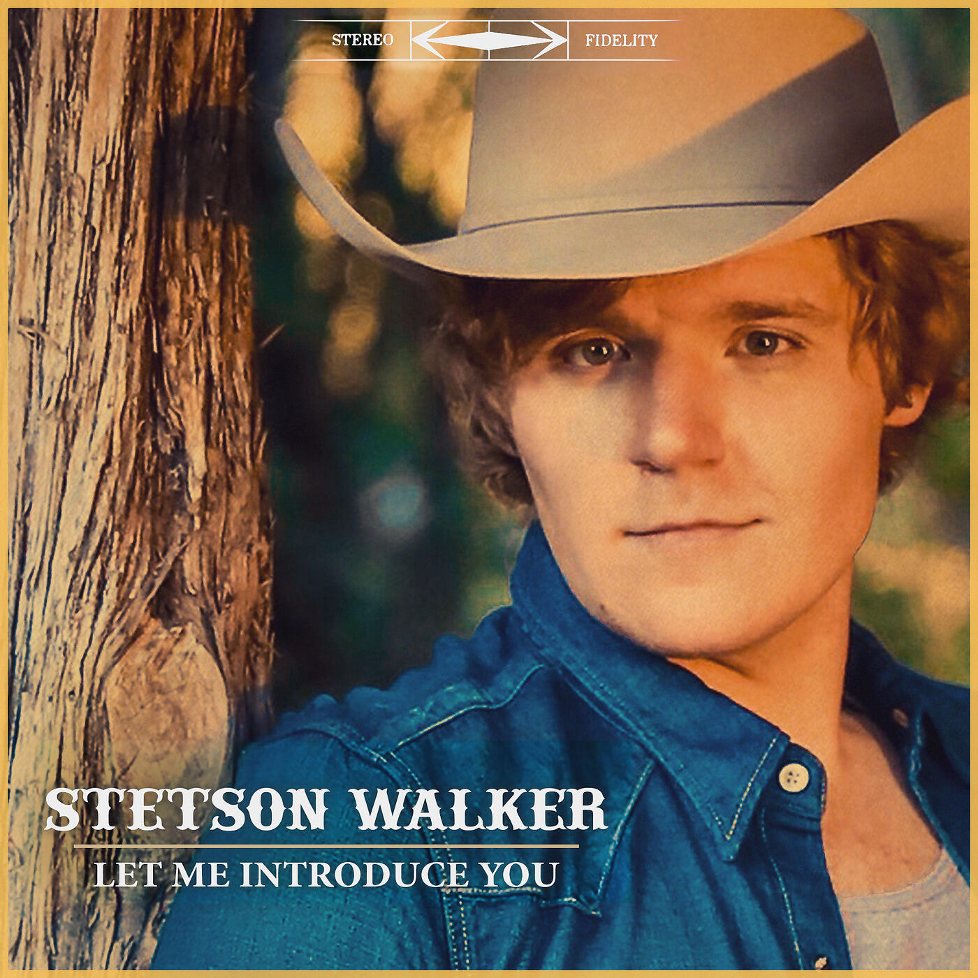 Stetson Walker - Say Hello to Goodbye