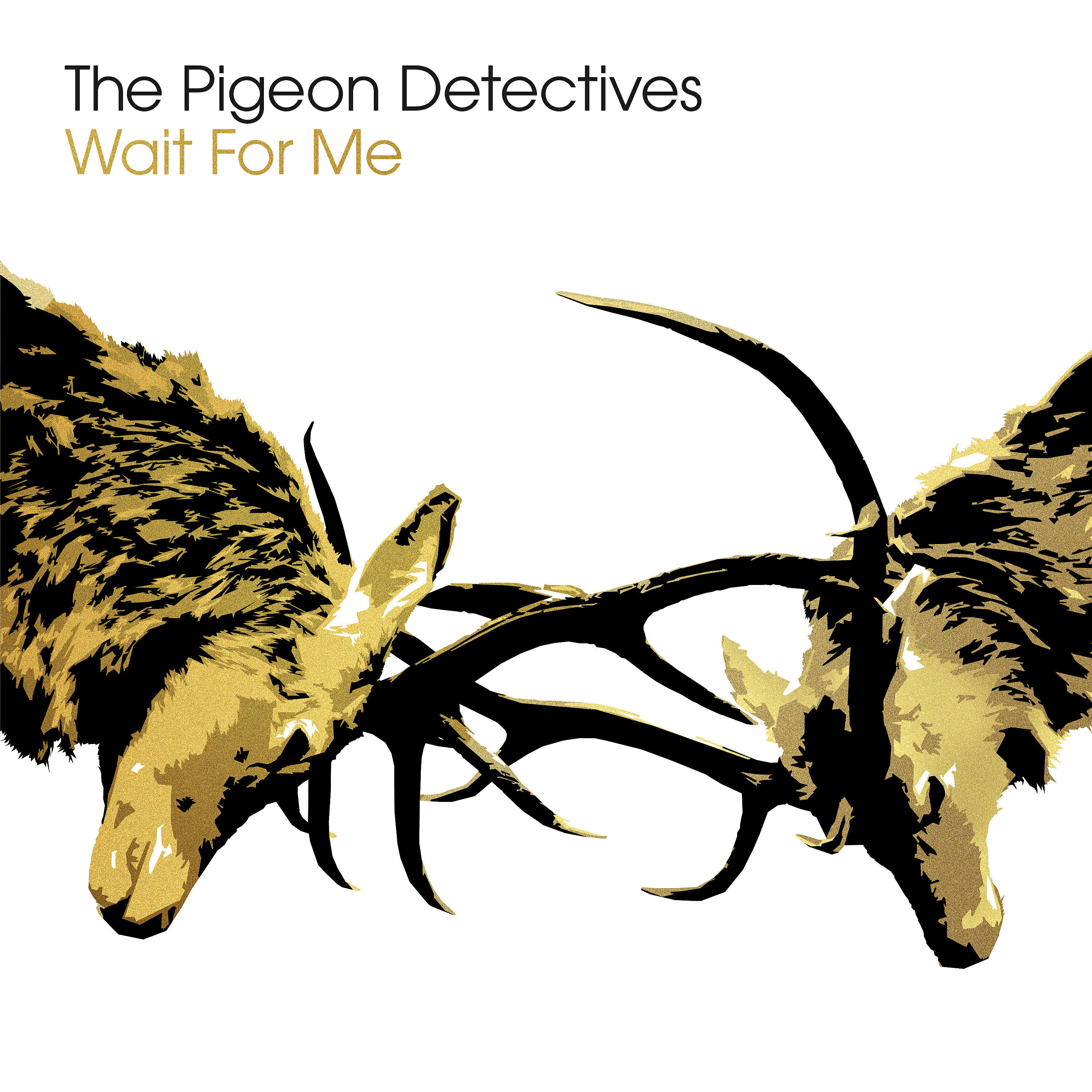 The Pigeon Detectives - I'm Not Sorry