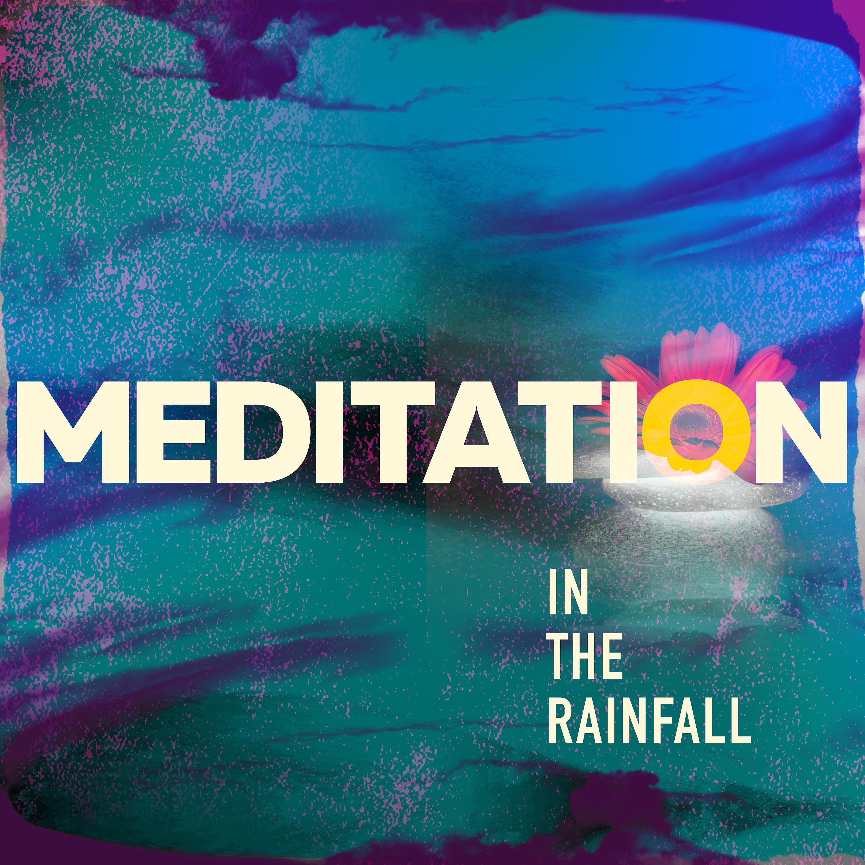 Постер альбома Meditation in the Rainfall