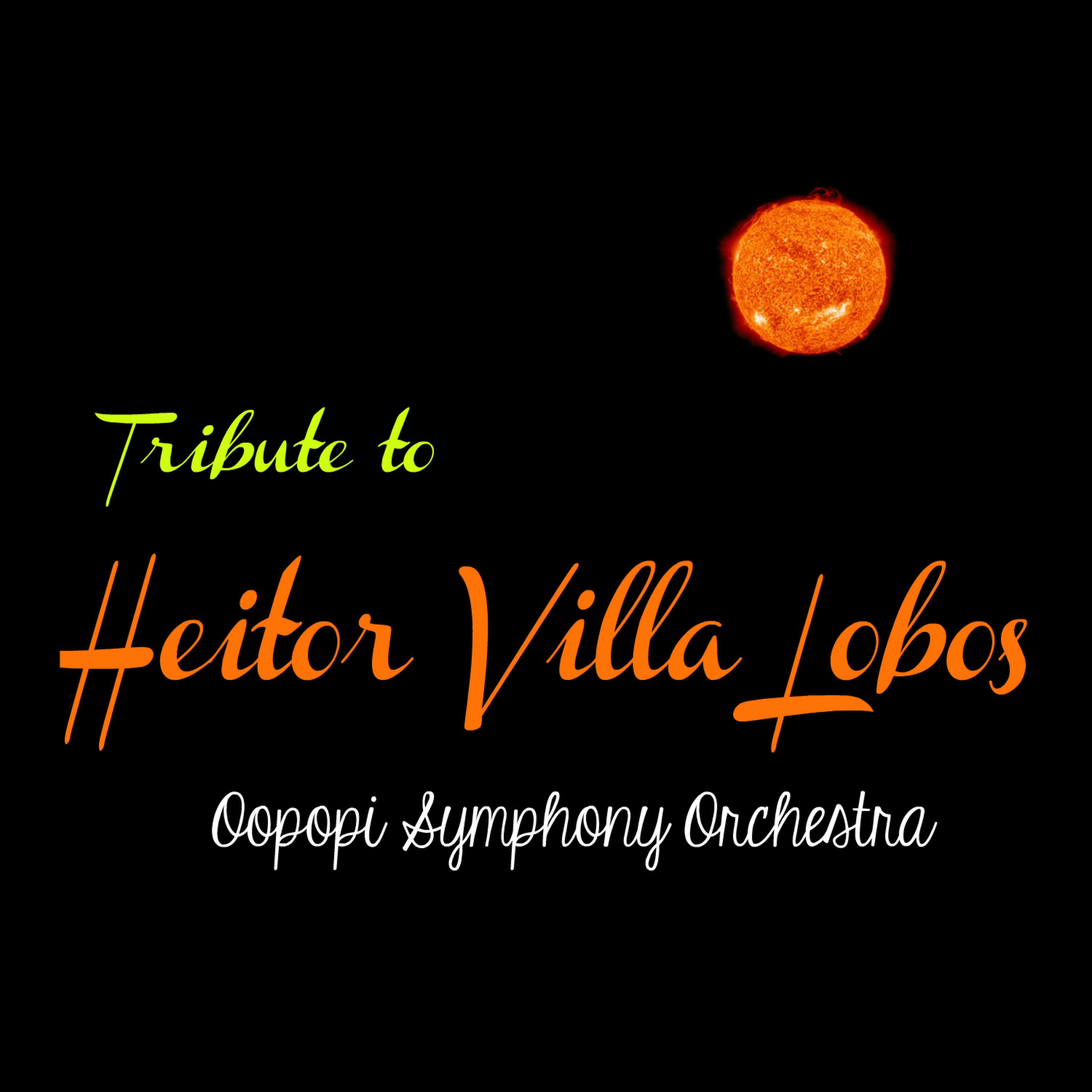 Постер альбома Tribute to Heitor Villa Lobos