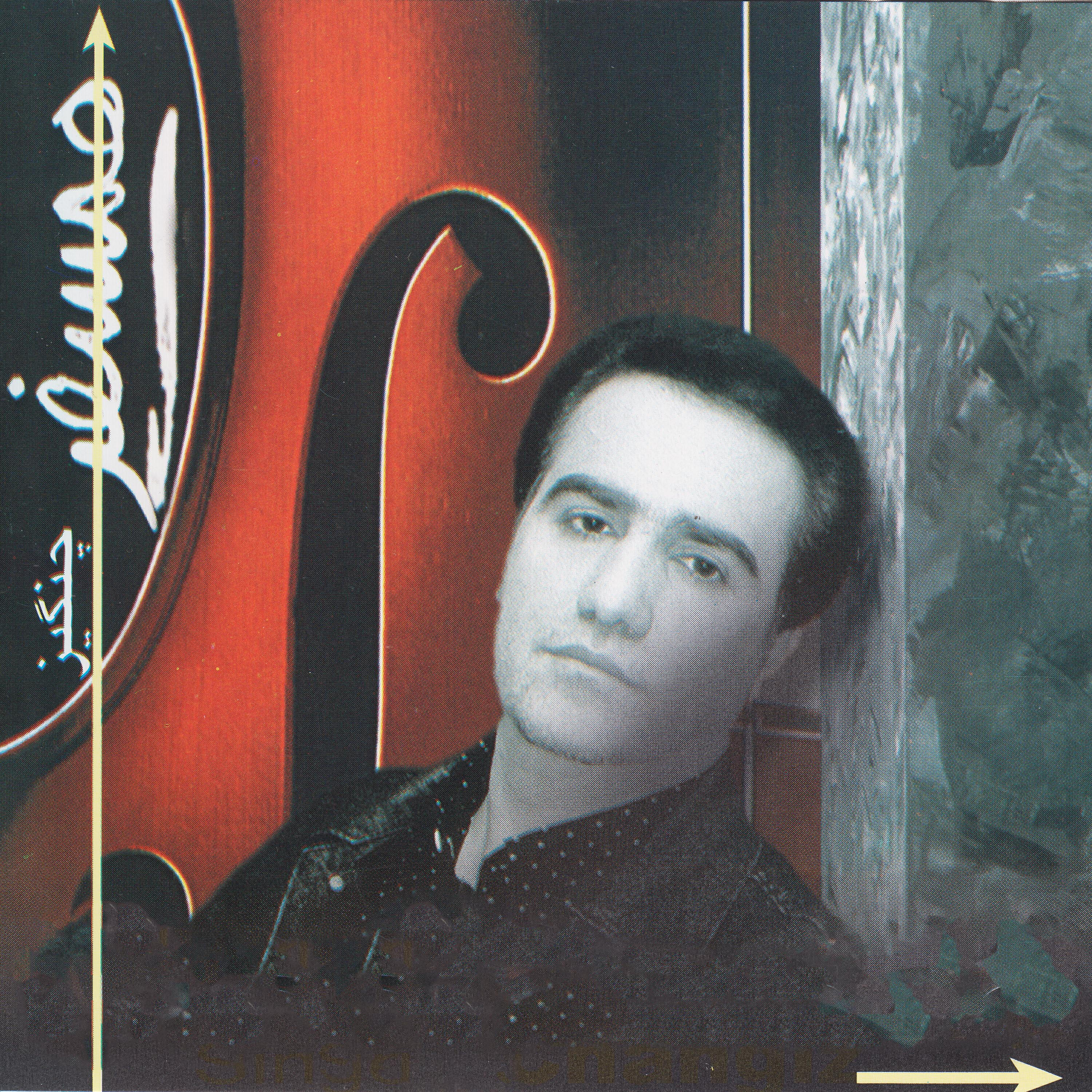 Changiz Habibian - Hamsafar