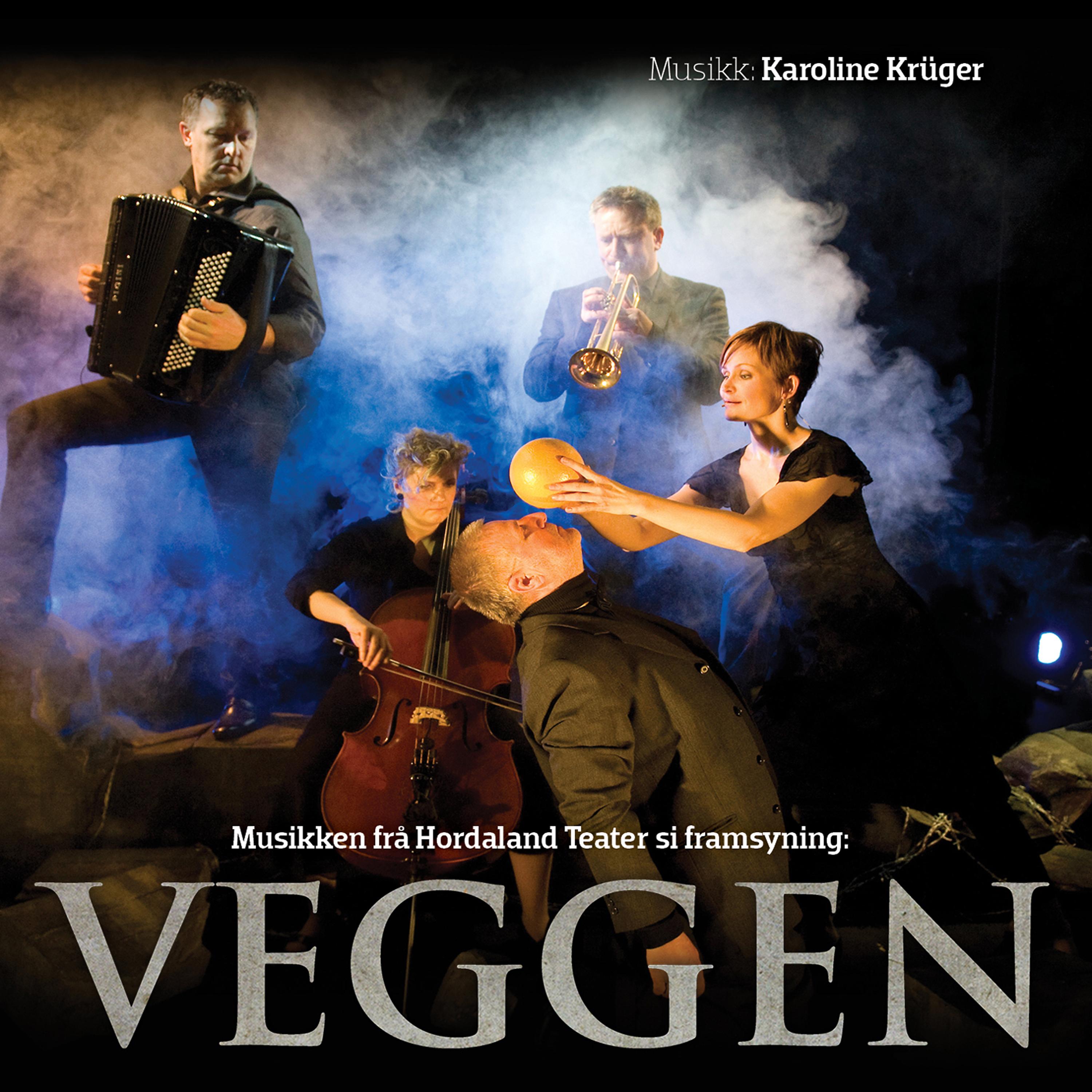 Постер альбома Veggen