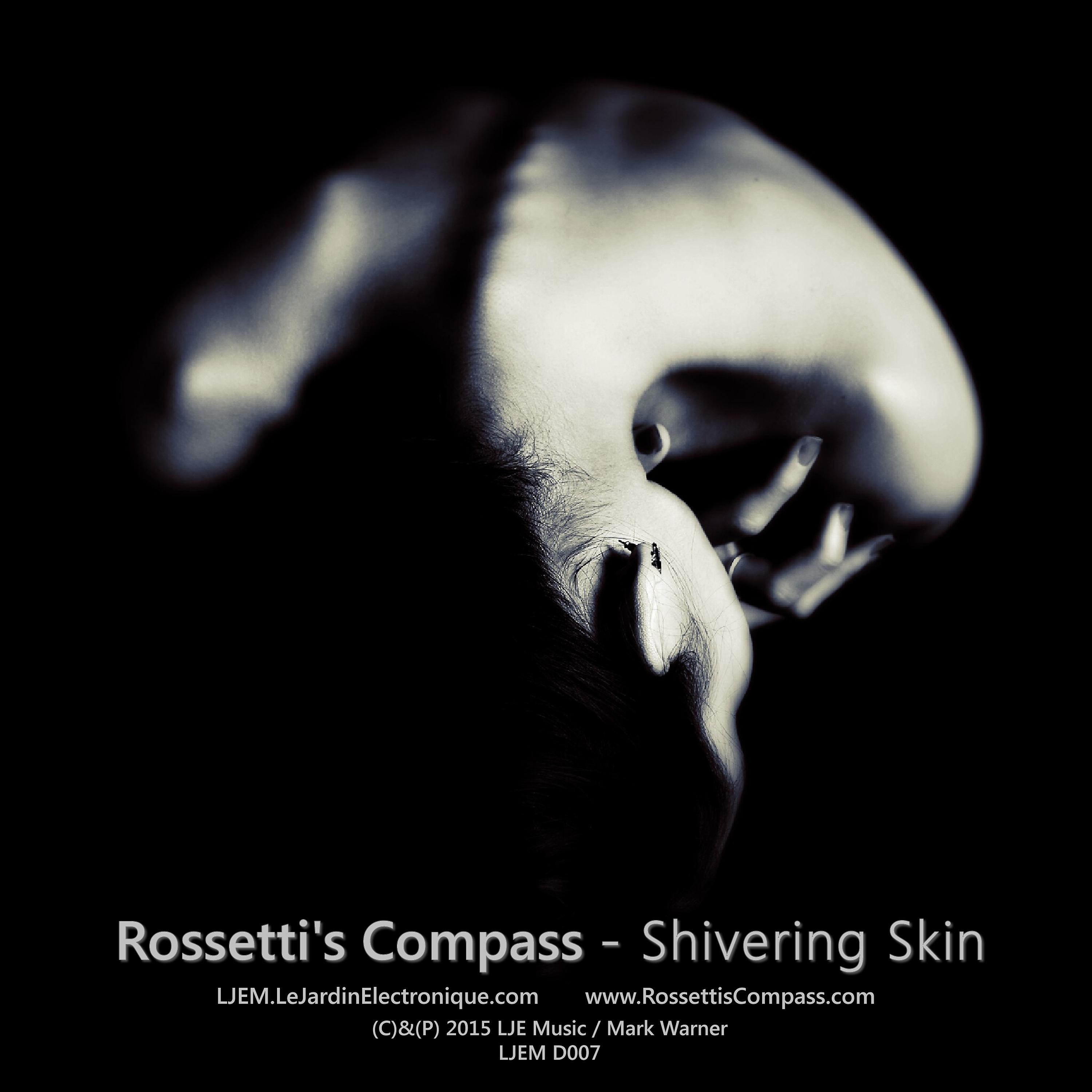 Постер альбома Shivering Skin