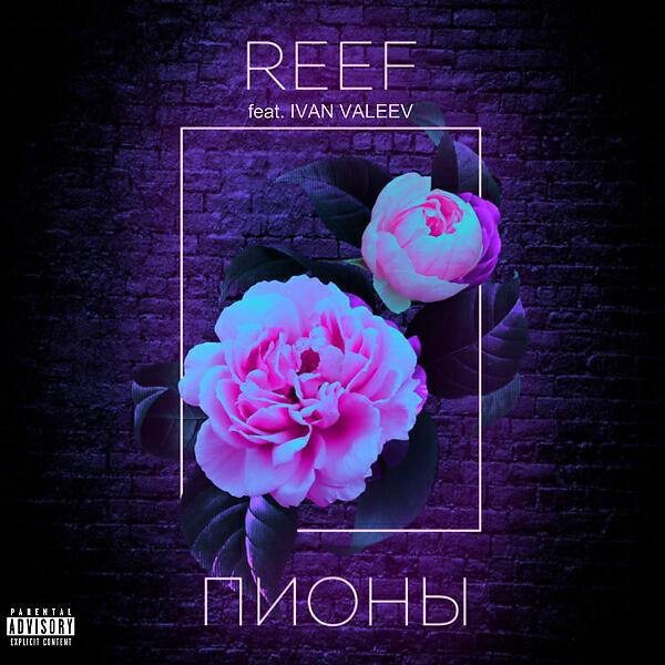 ReeF - Пионы