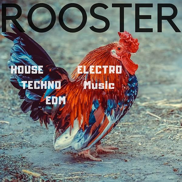 Постер альбома Rooster House Techno Edm Electro Music