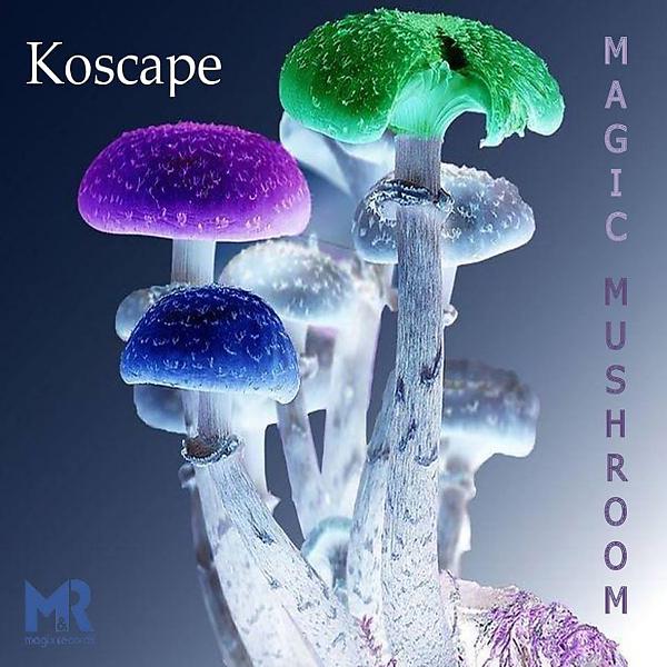 Постер альбома Magic Mushroom