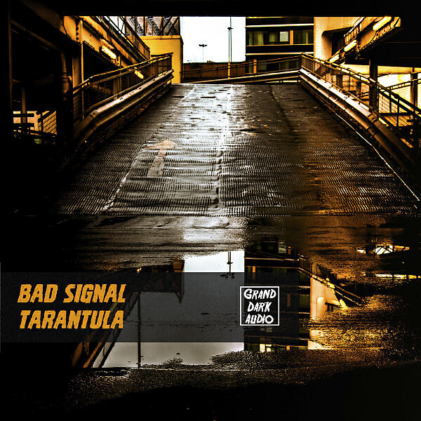 Bad Signal - Untitled