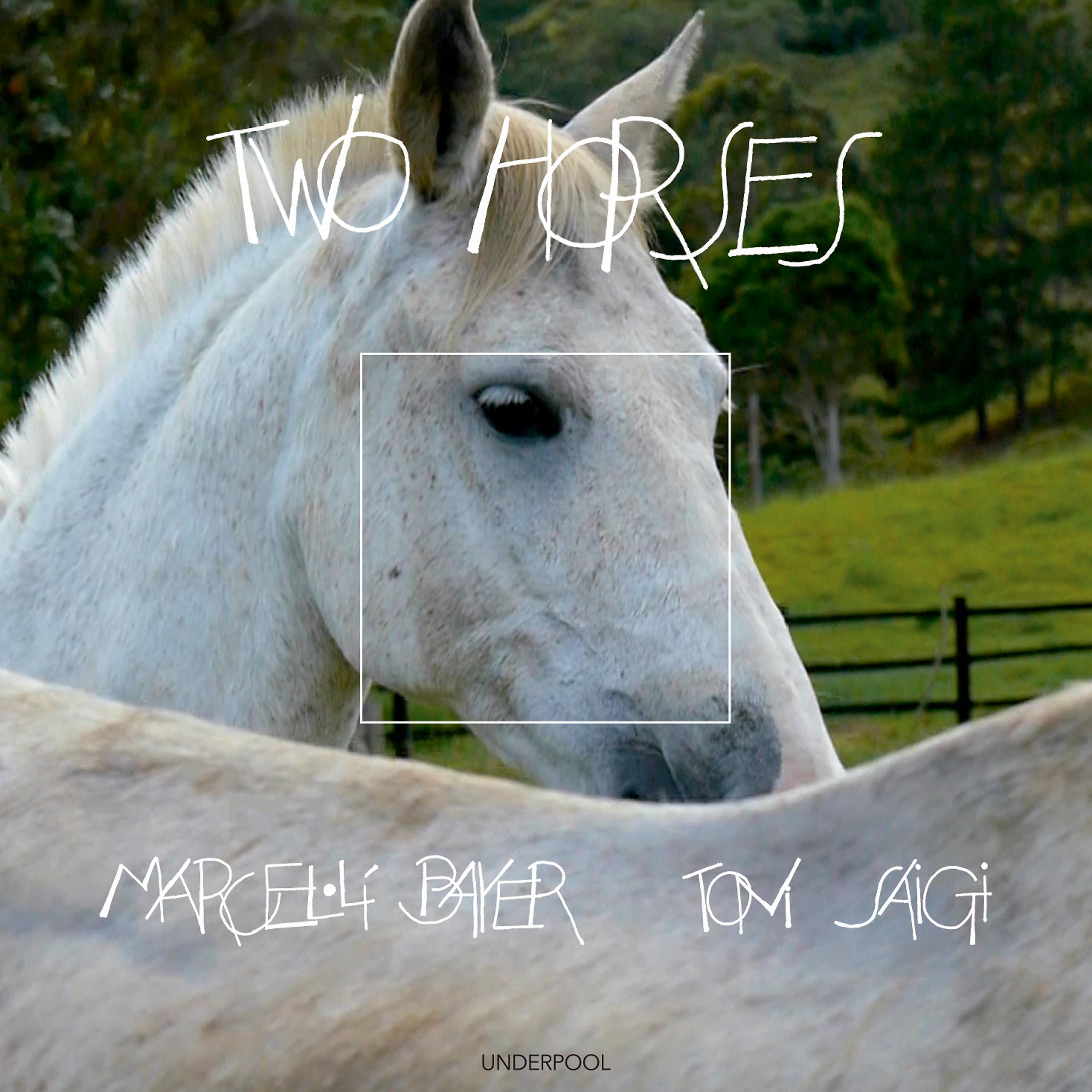 Постер альбома Two Horses