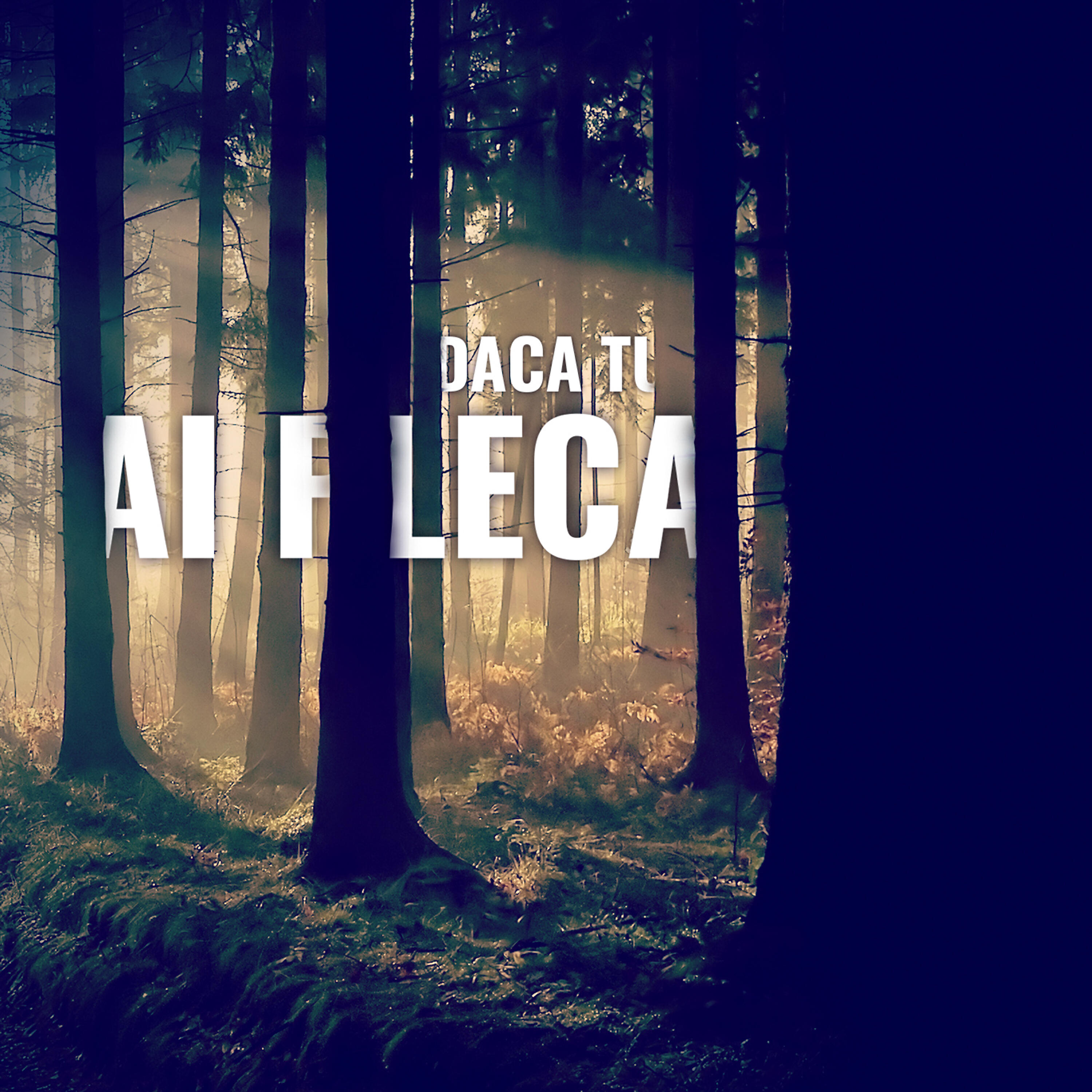 Doddy - Daca tu ai pleca