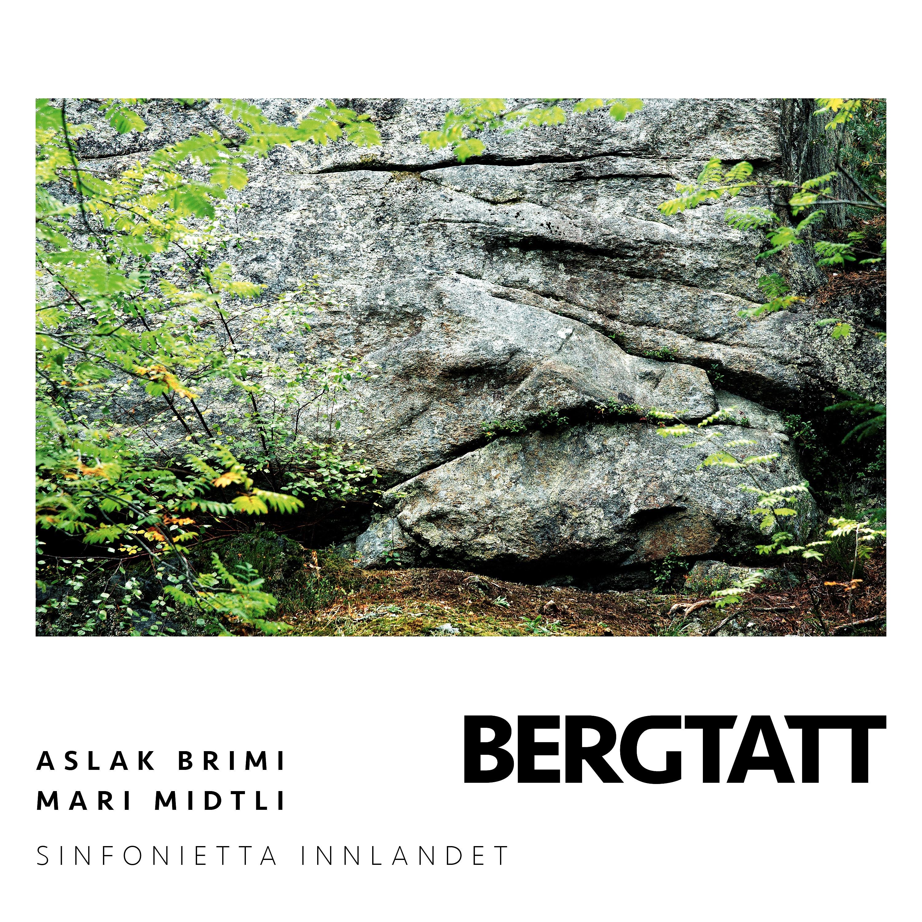 Постер альбома Bergtatt