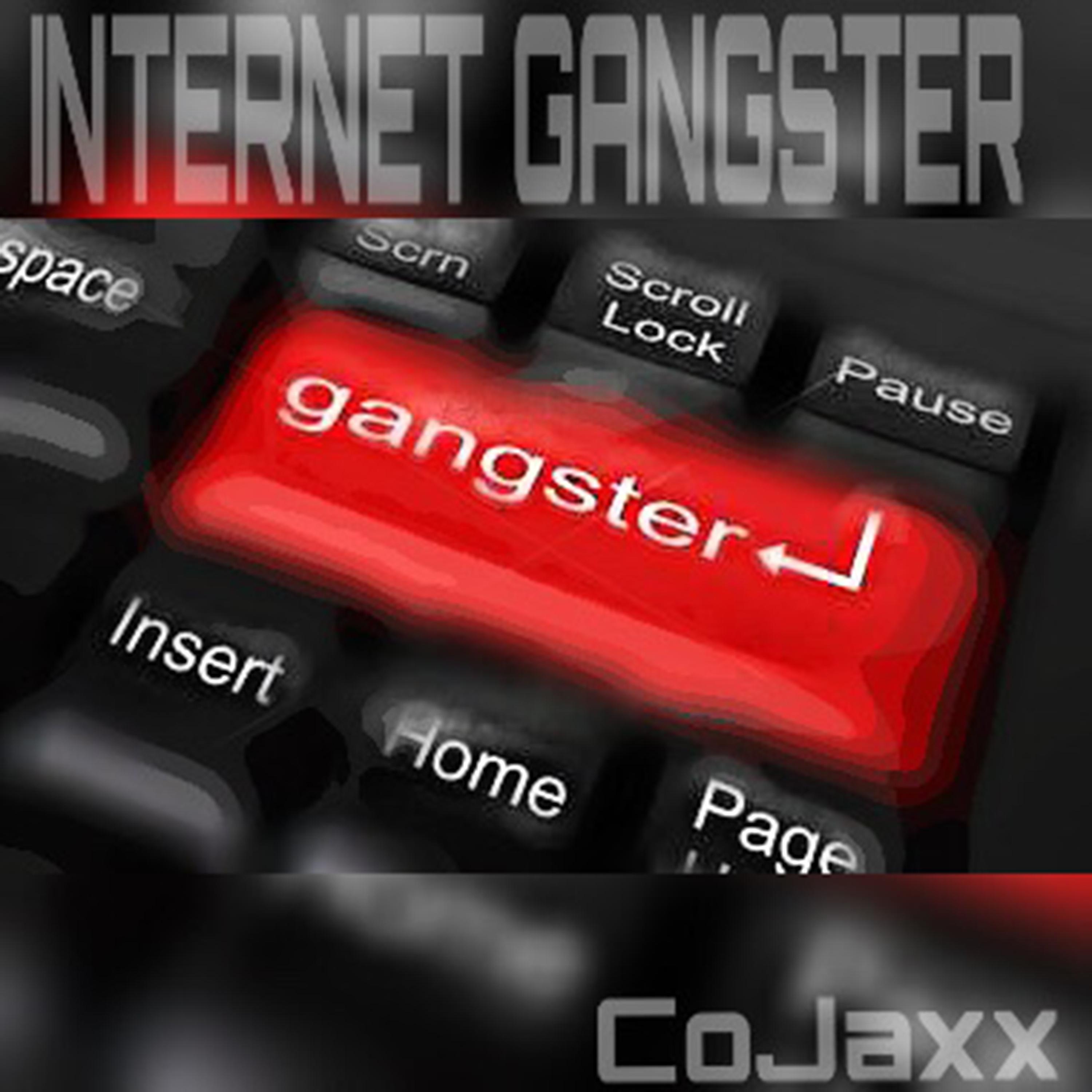 Постер альбома Internet Gangster