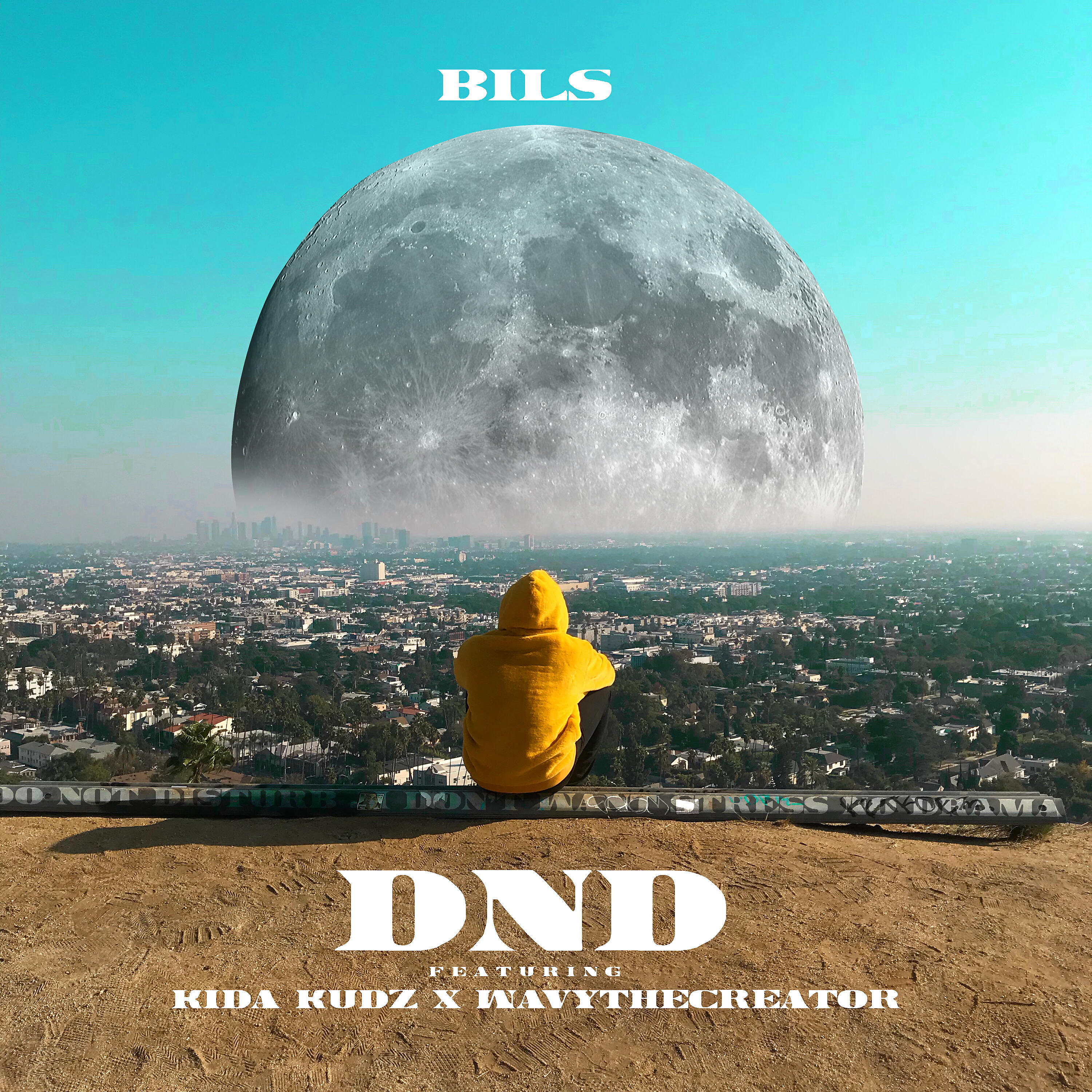 BILS - DND (feat. Kida Kudz & WavyTheCreator)