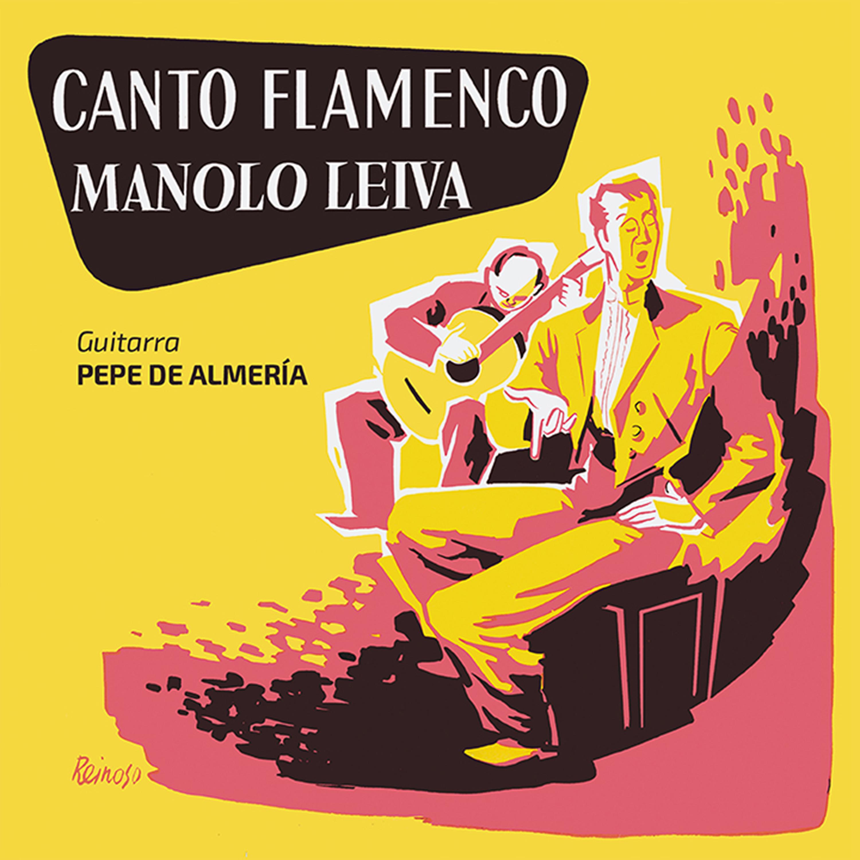 Постер альбома Canto Flamenco